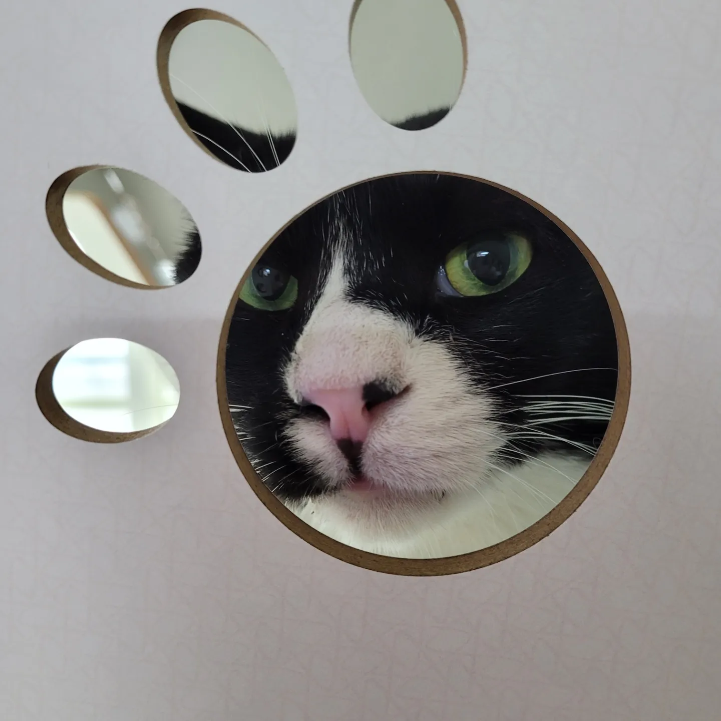 이루 !! 레오야 동생하고 잘 지내줘ㅜ 