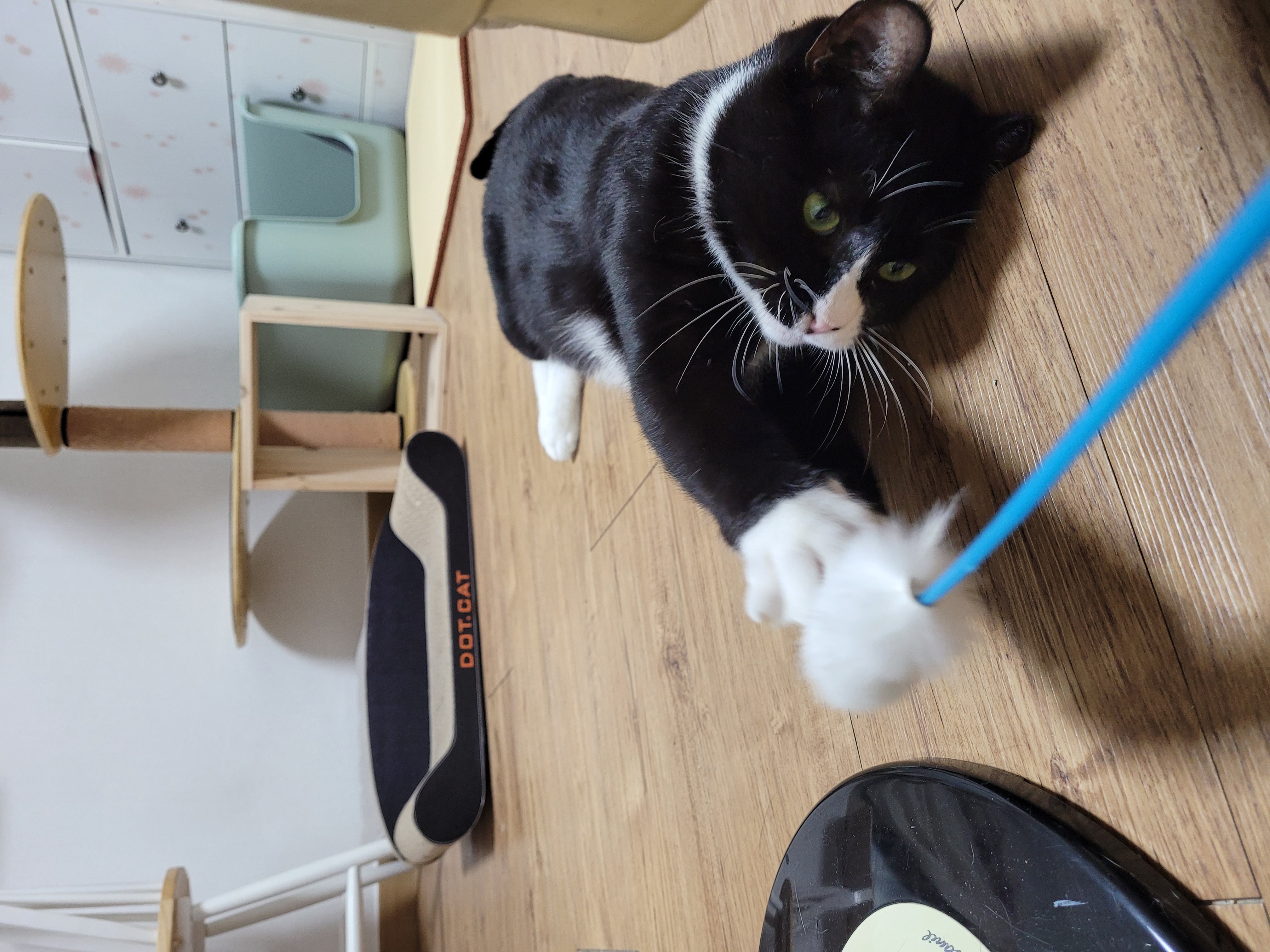 이루 !! 레오야 동생하고 잘 지내줘ㅜ 