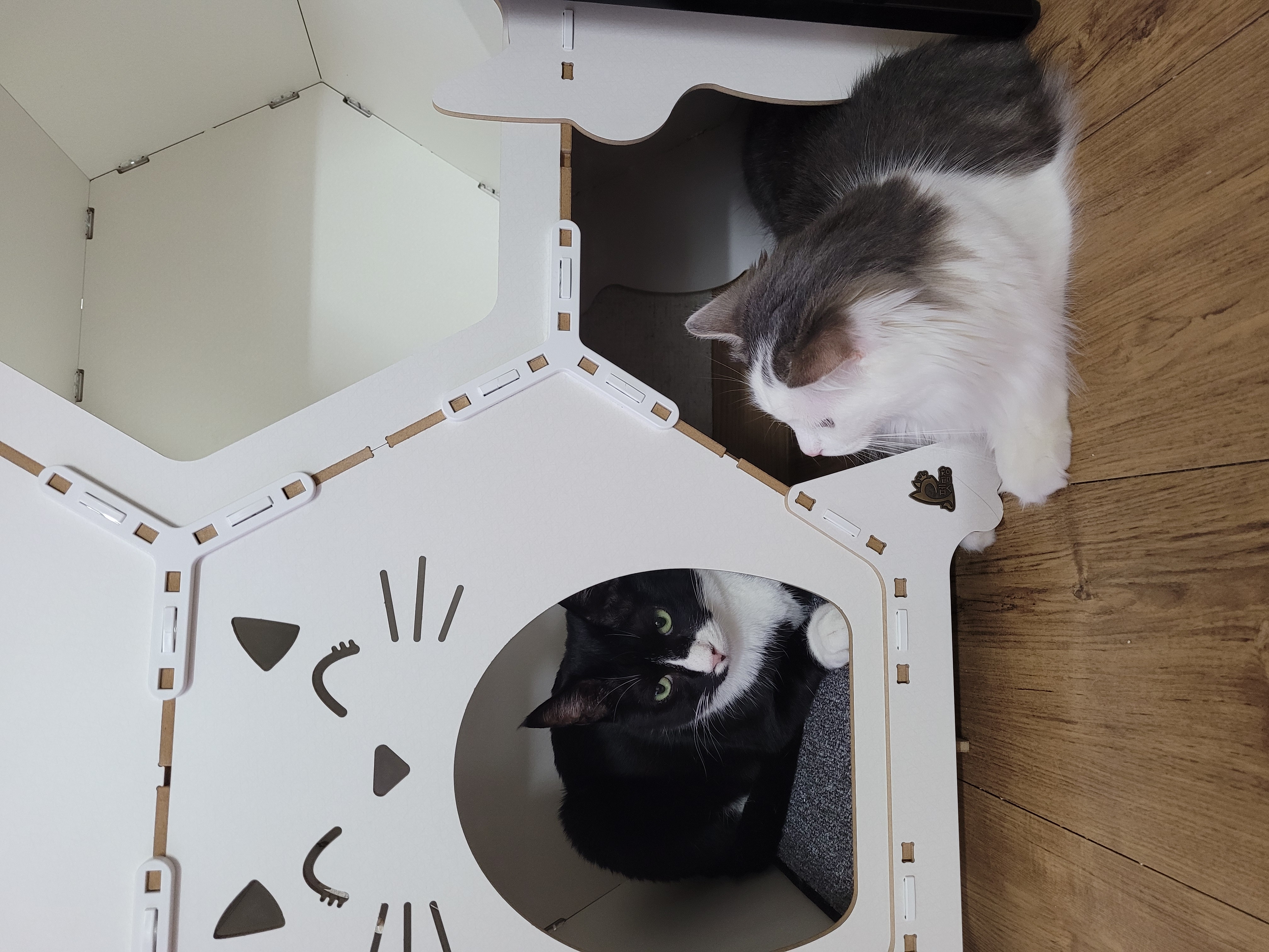 이루 !! 레오야 동생하고 잘 지내줘ㅜ 