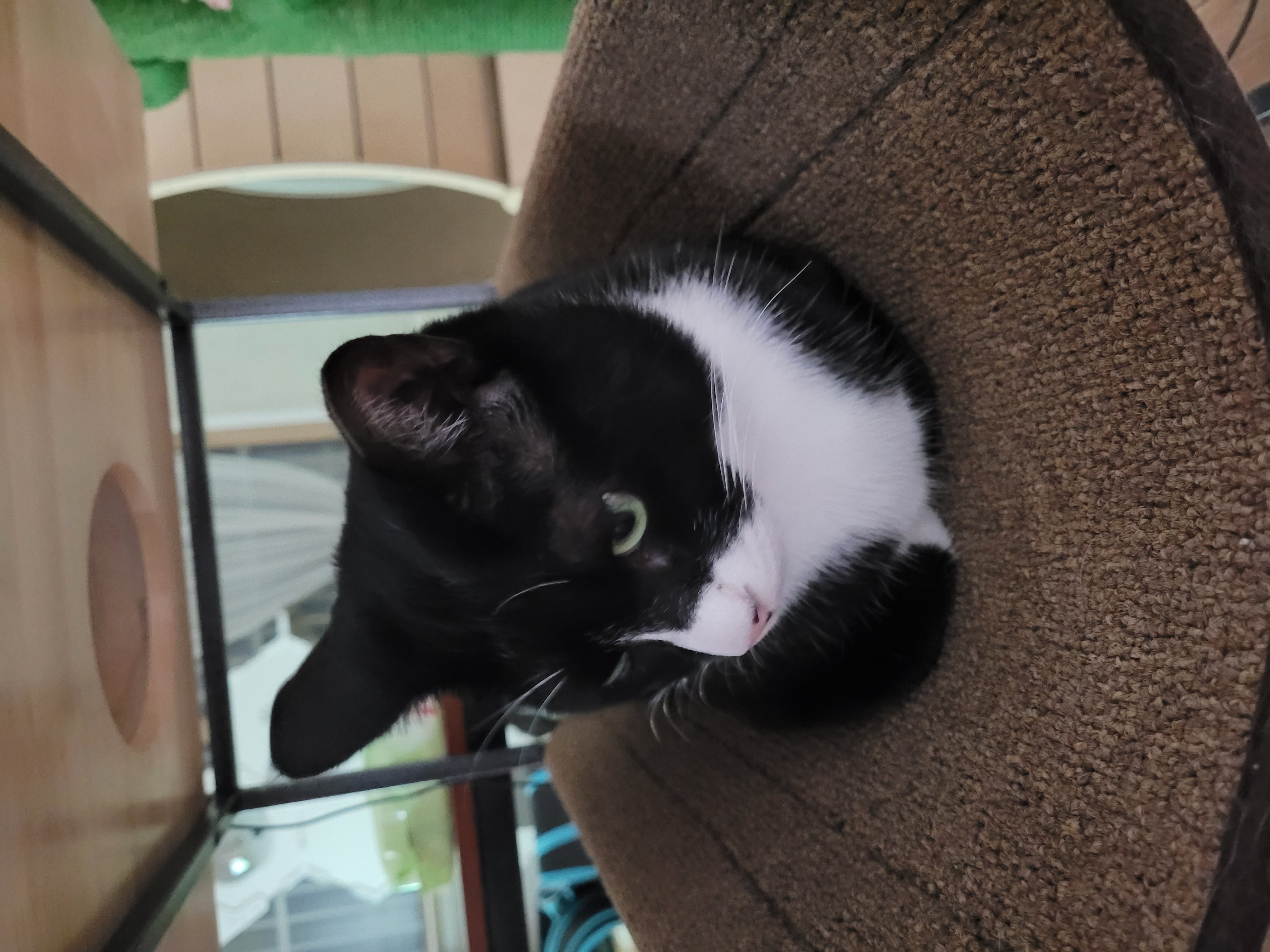 이루 !! 레오야 동생하고 잘 지내줘ㅜ 