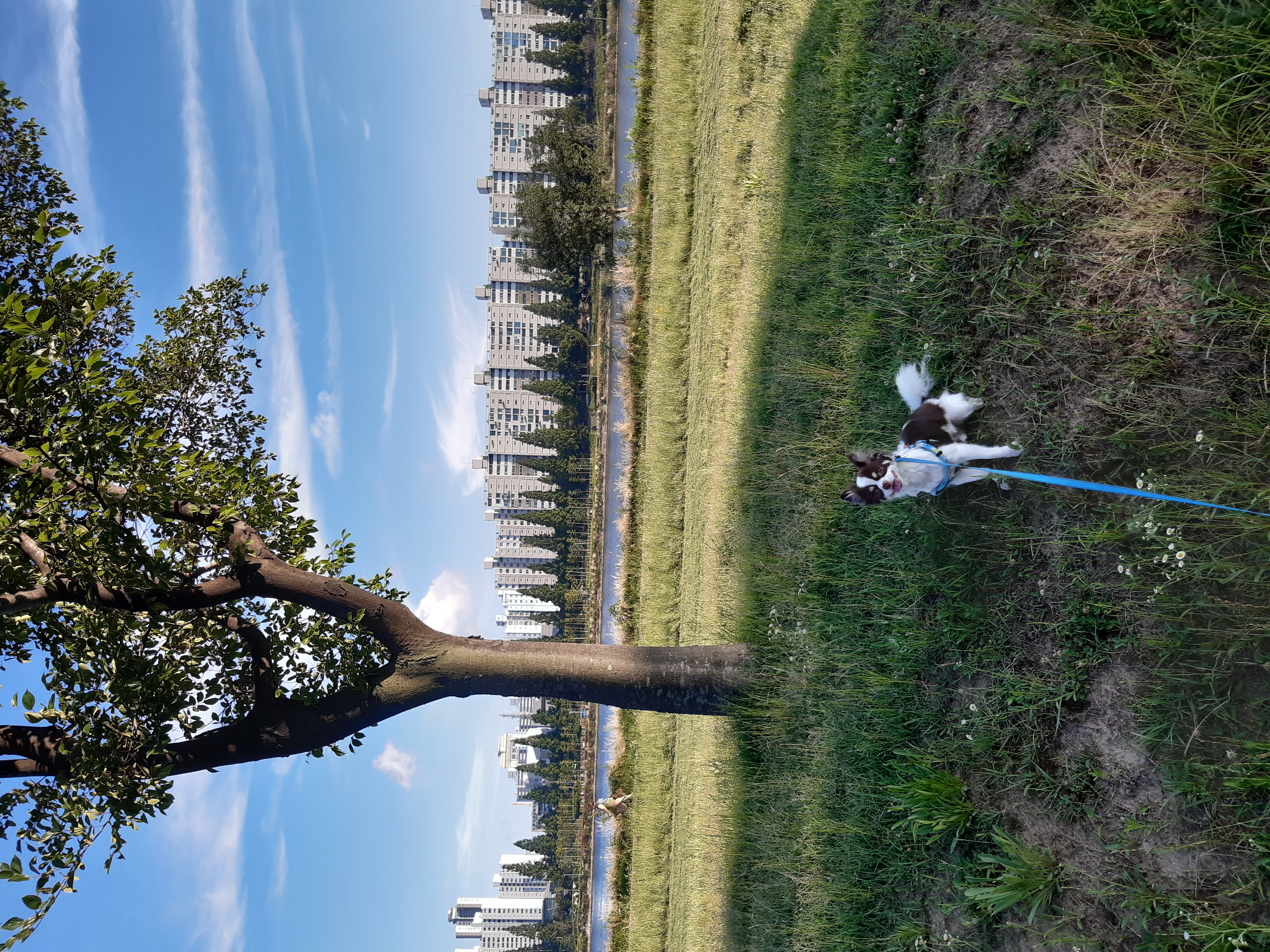 뽀롱이집에온지37개월입니다