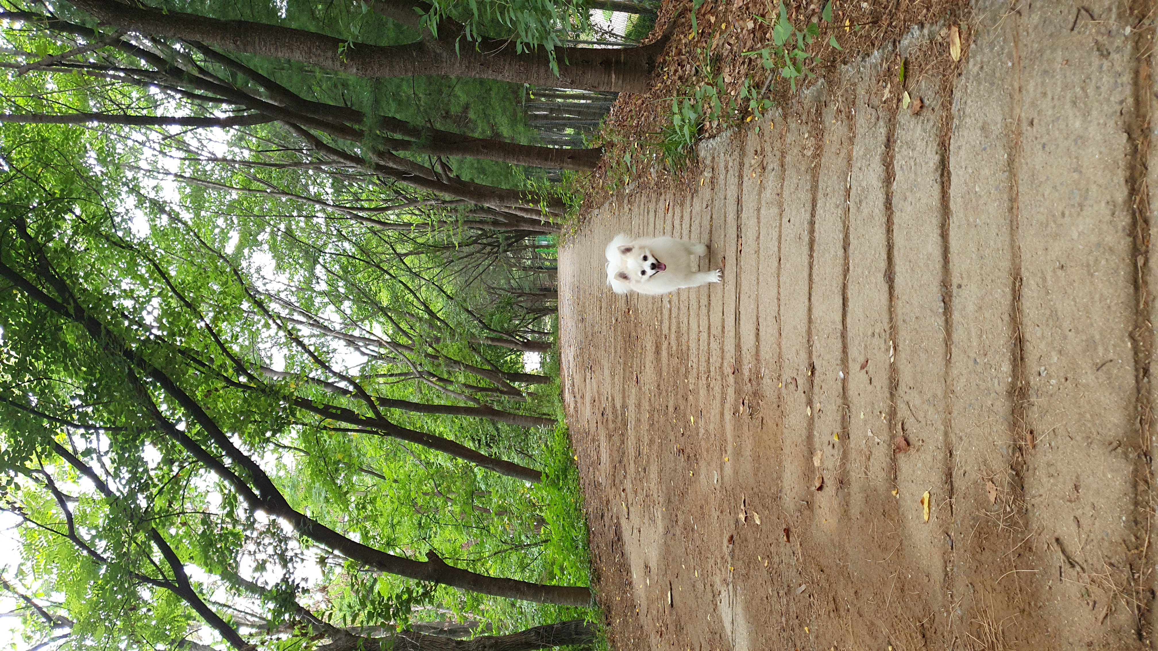 곤지암 몽쉘이(땅콩)이 1년 소식 전하러왔어요~!