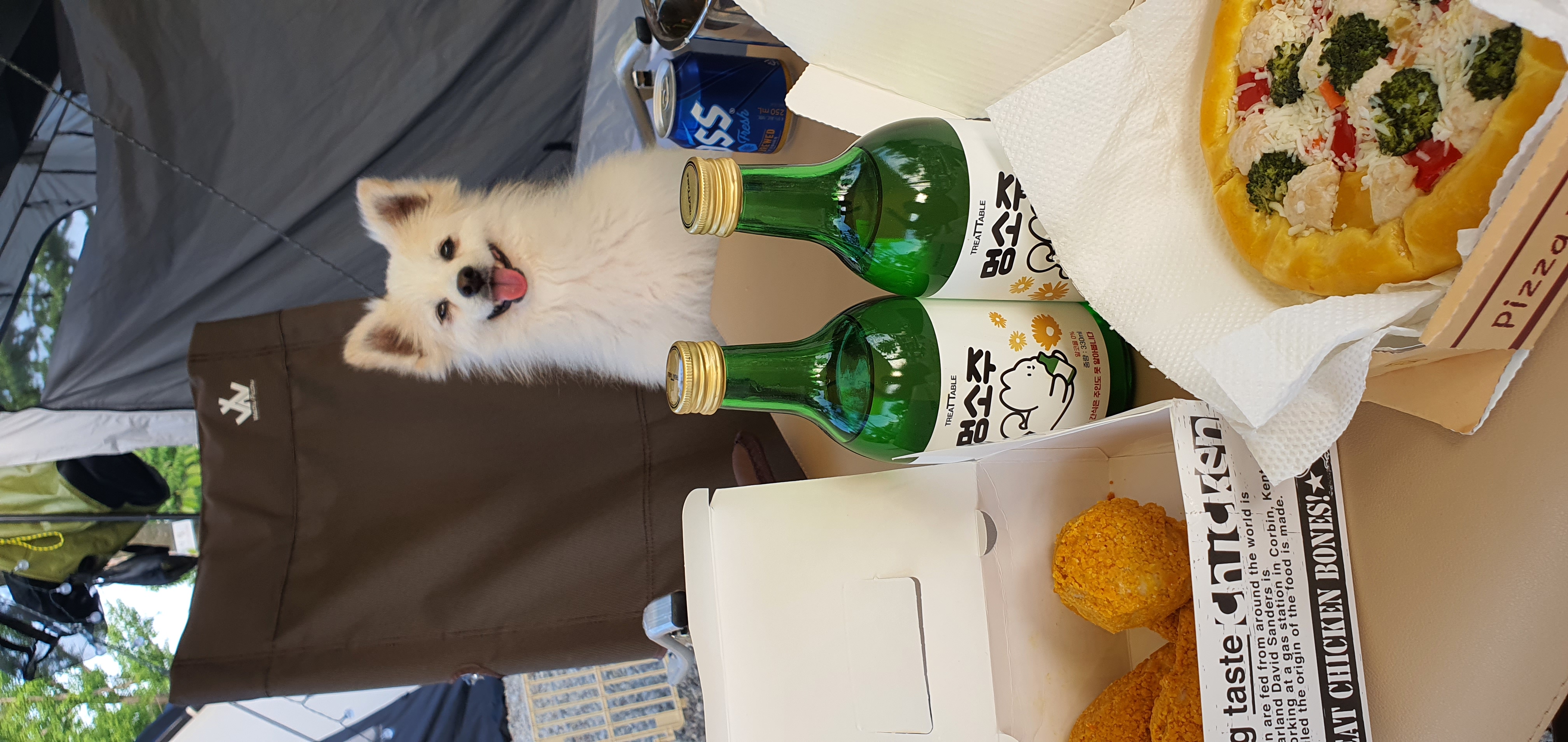 곤지암 몽쉘이(땅콩)이 1년 소식 전하러왔어요~!