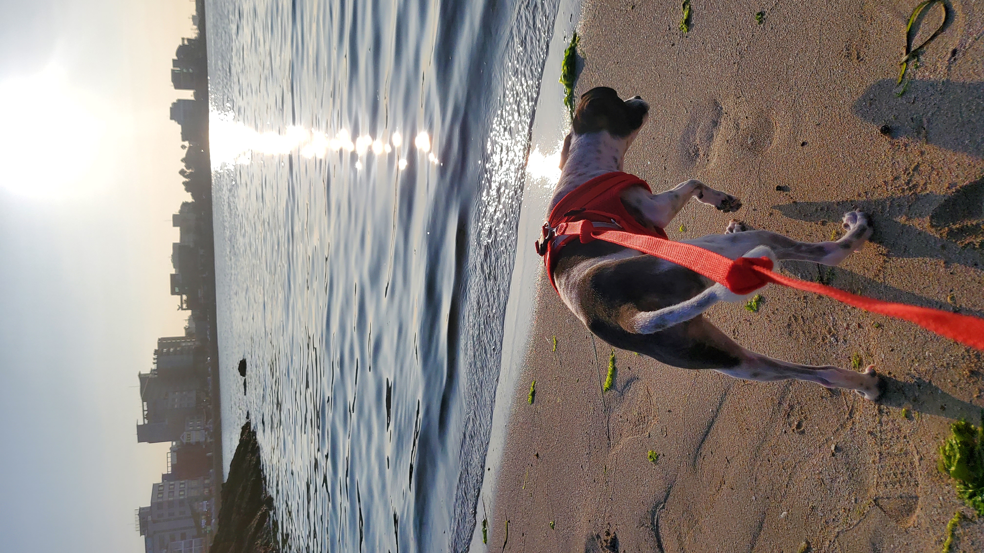 마루와 제주여행