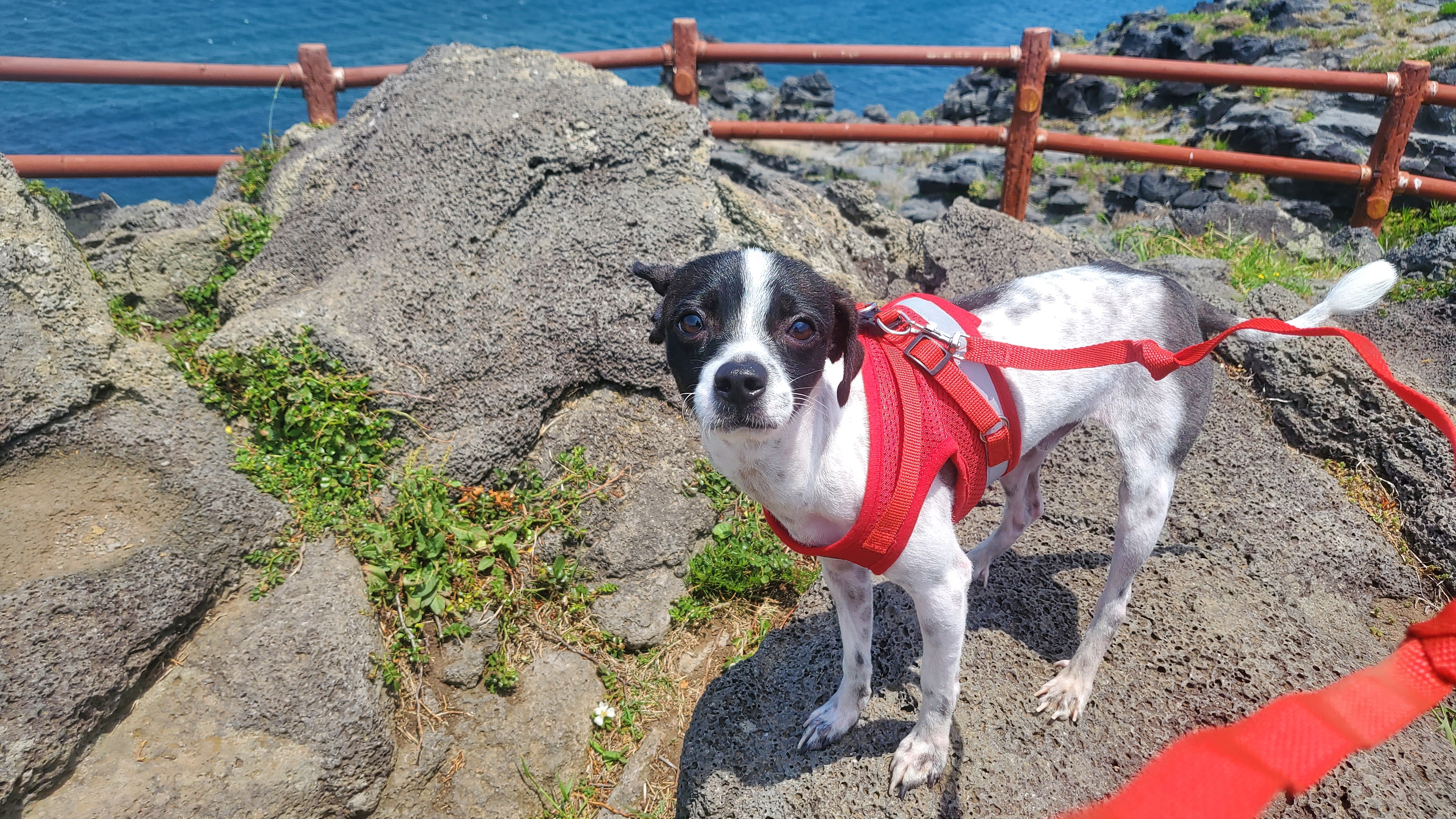 마루와 제주여행