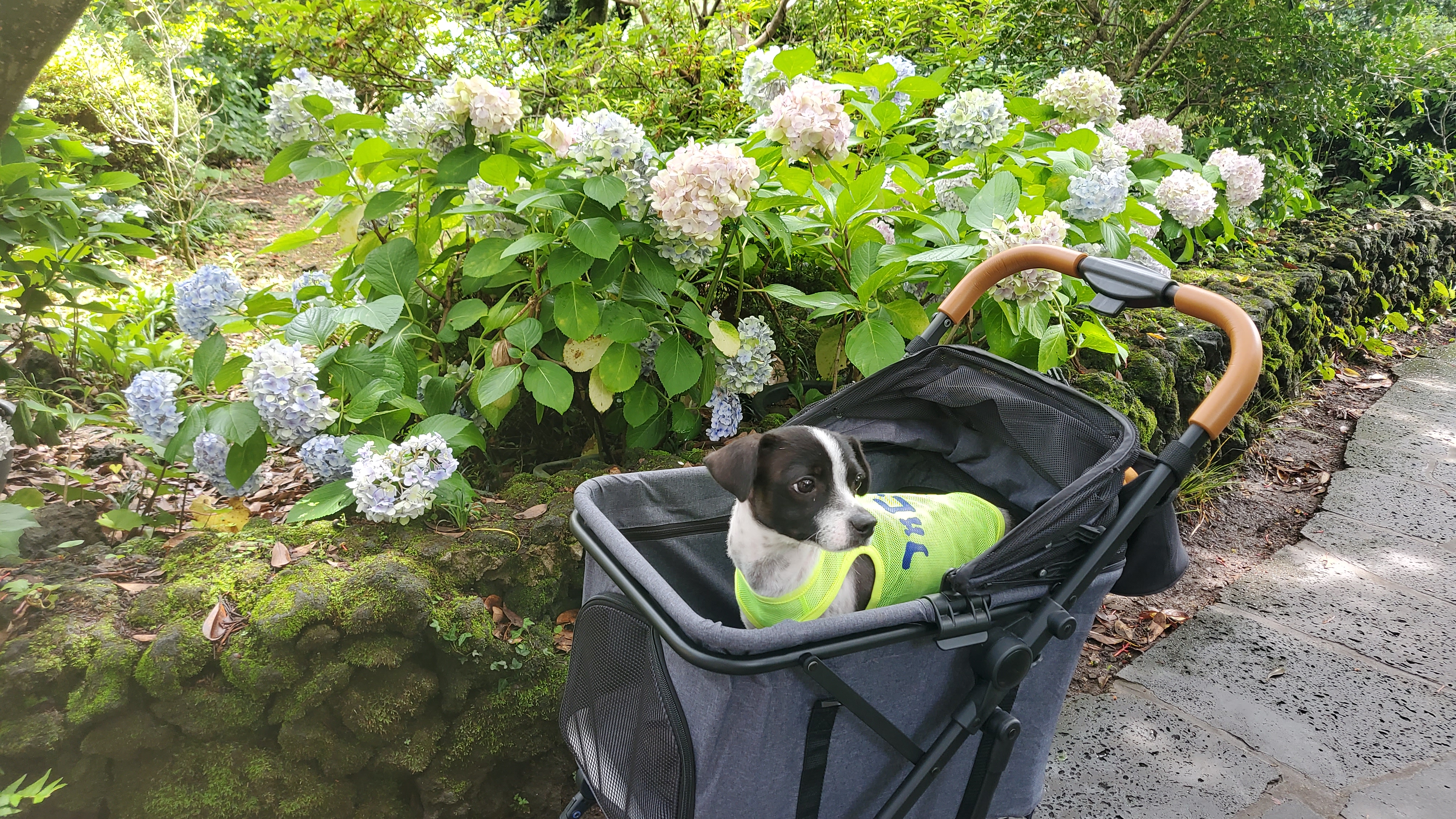 마루와 제주여행