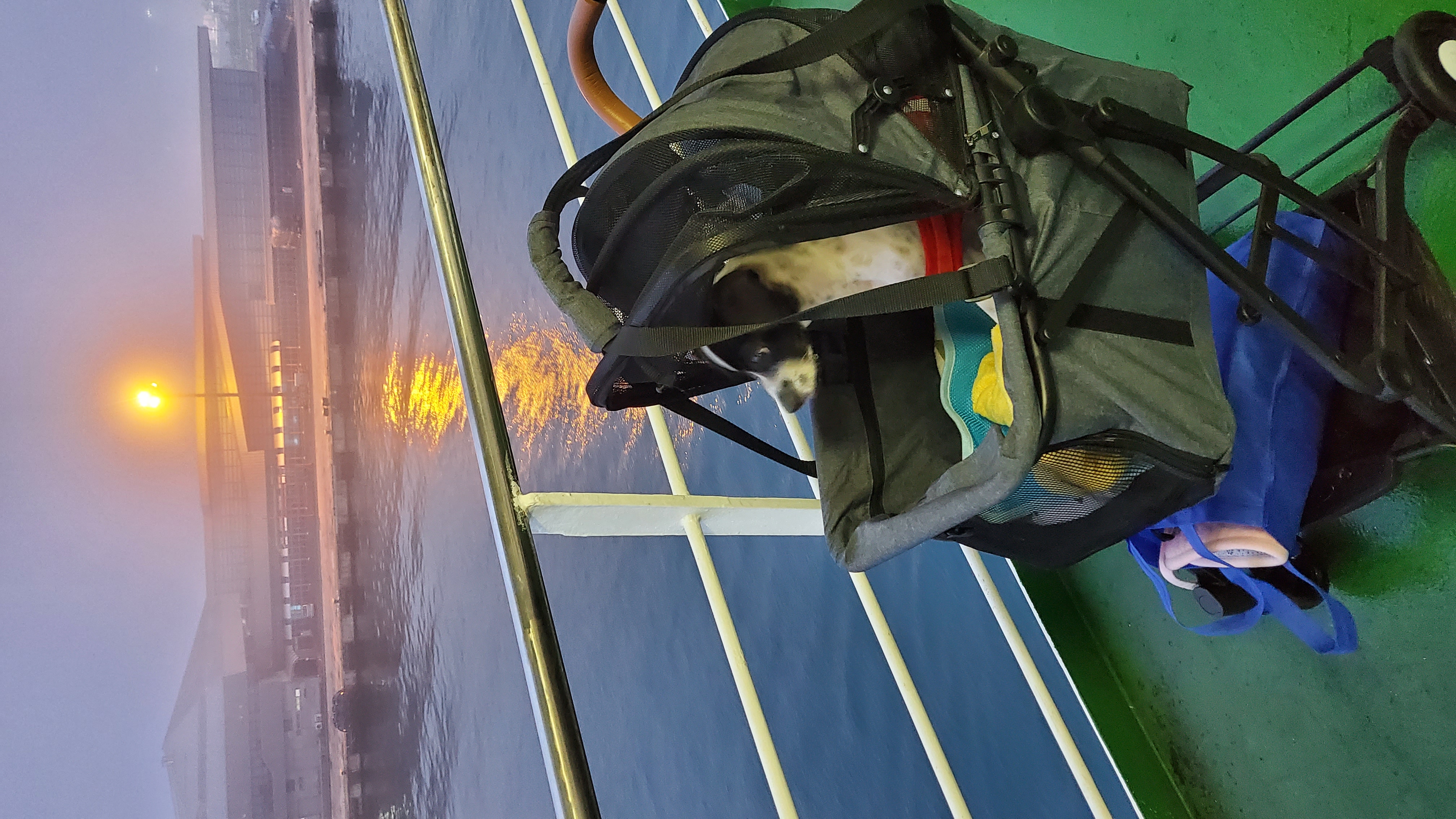 마루와 제주여행