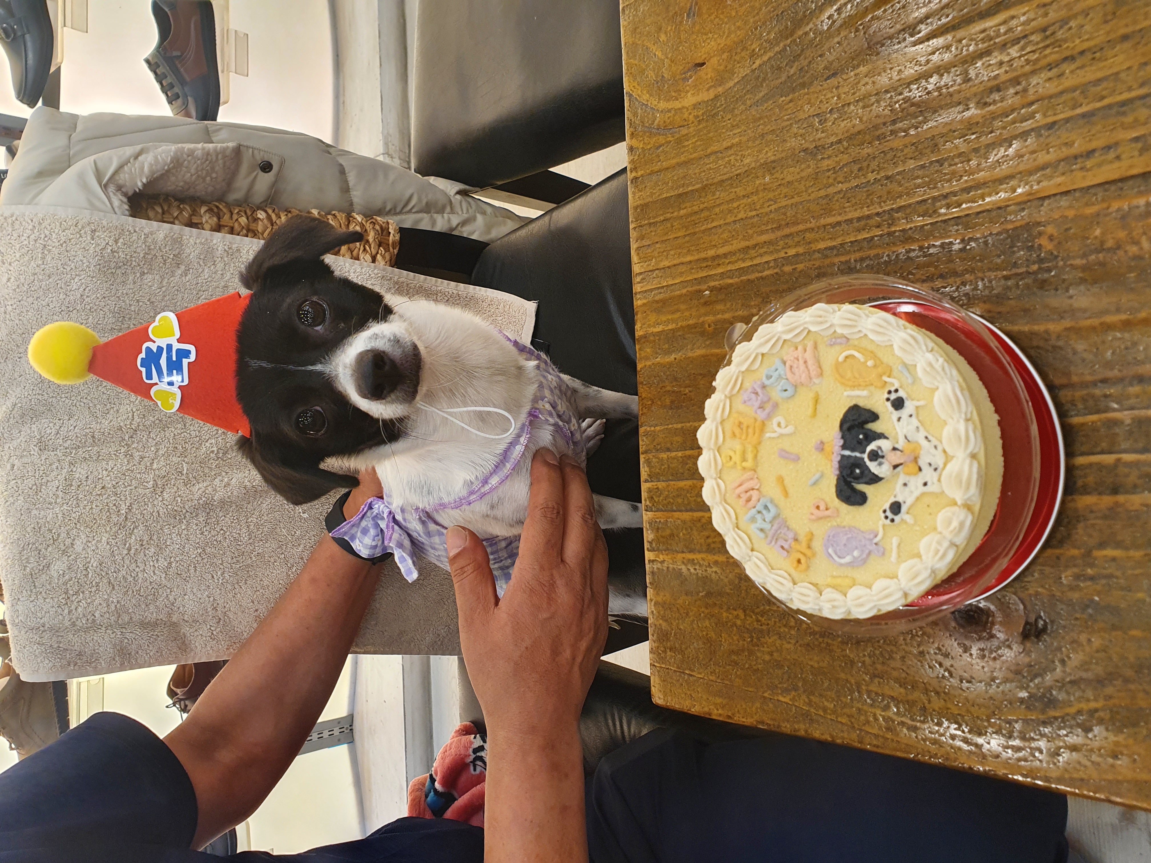 하니(모원) 생일파티 했어요