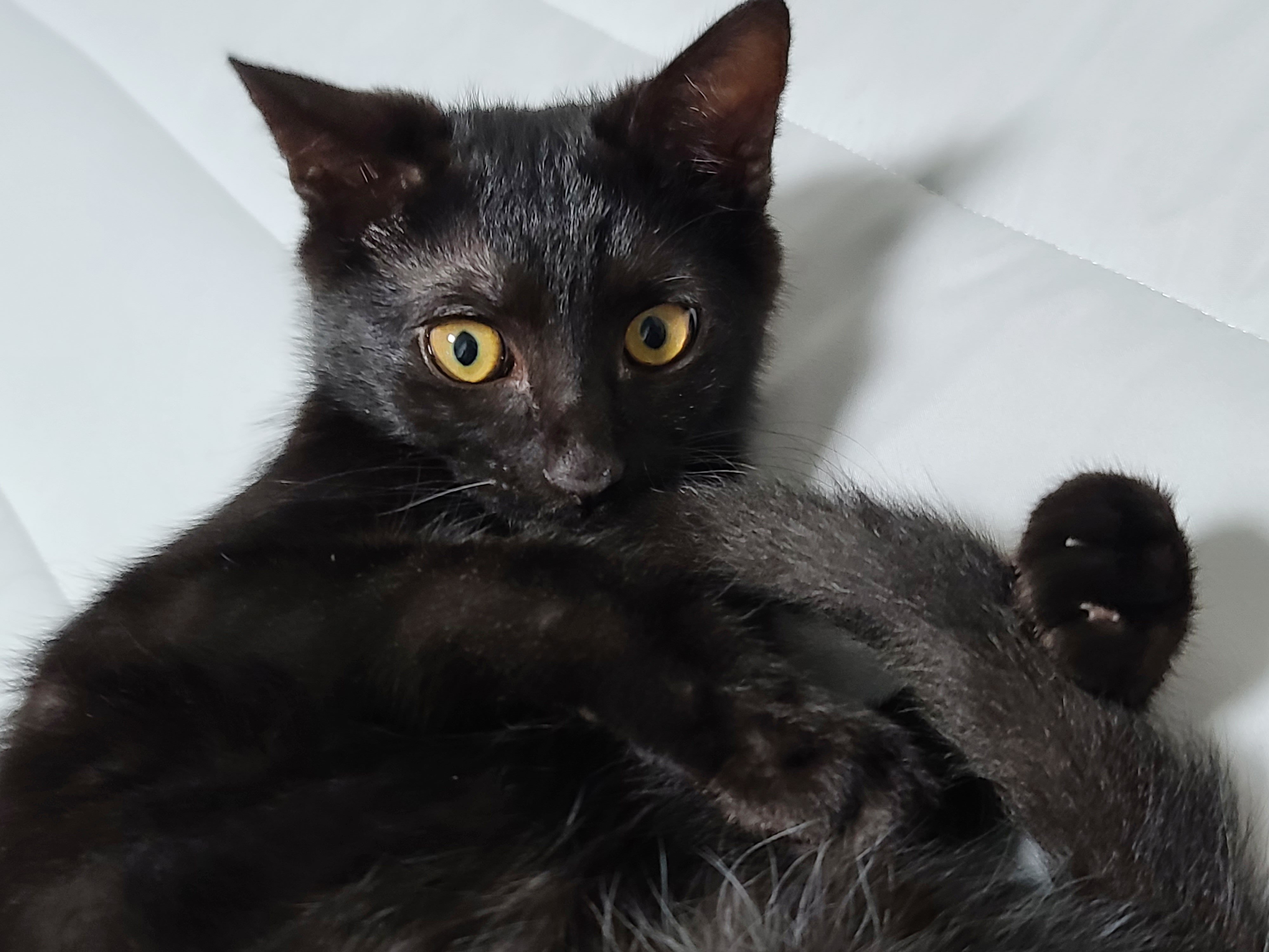 베리 입양후 일주일