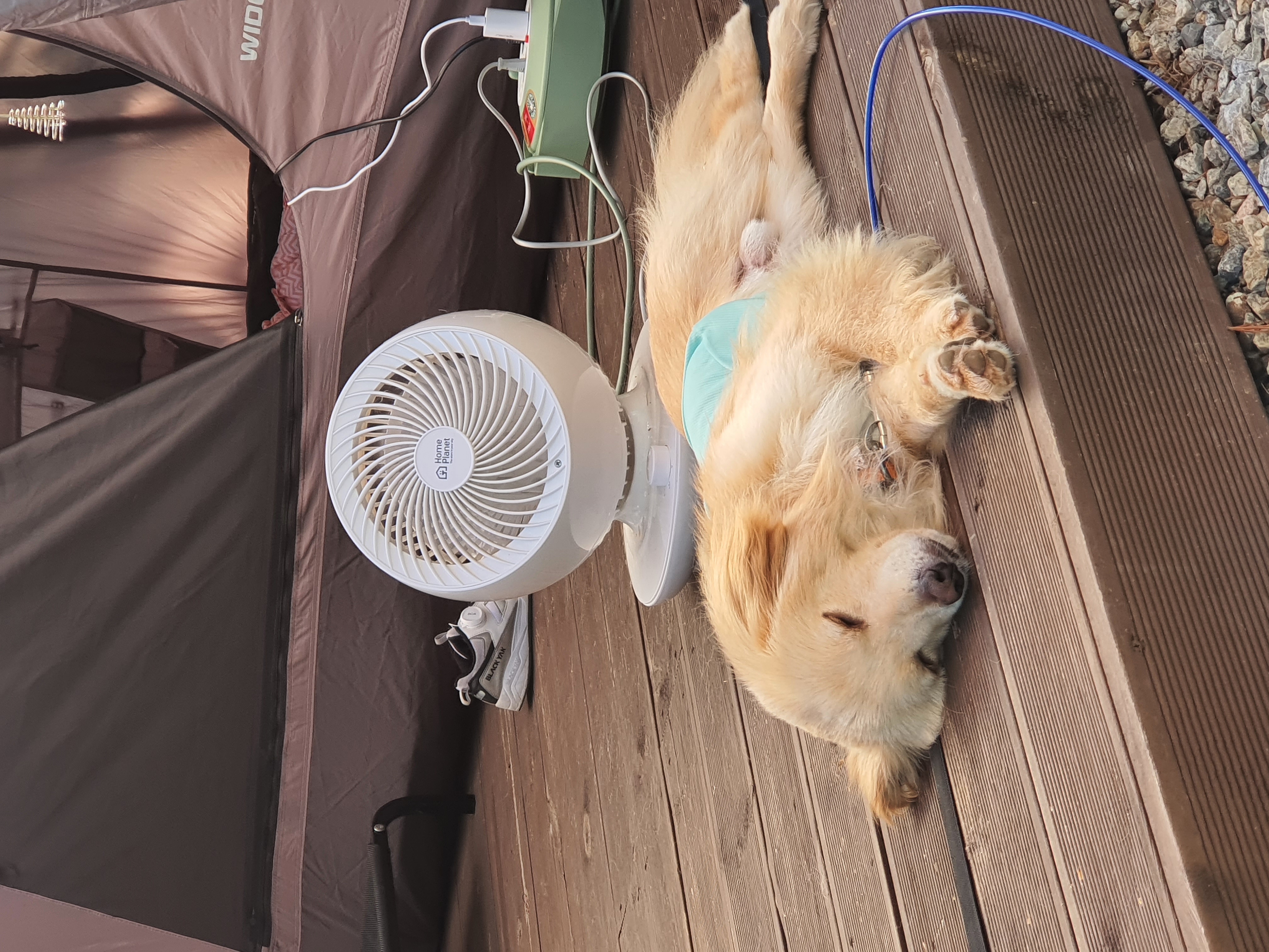 자몽이(구 육콩이)와 한달