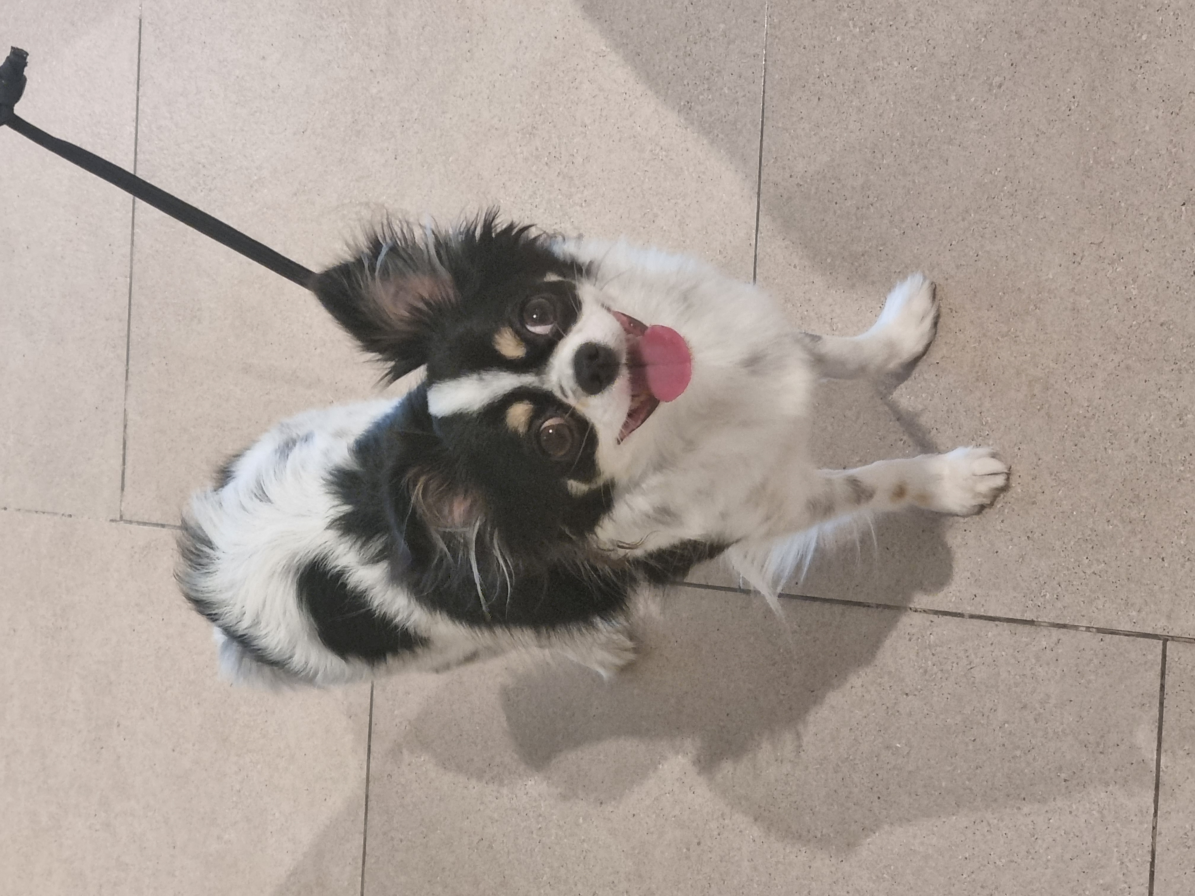 우리집 아기천사 이몬이♡