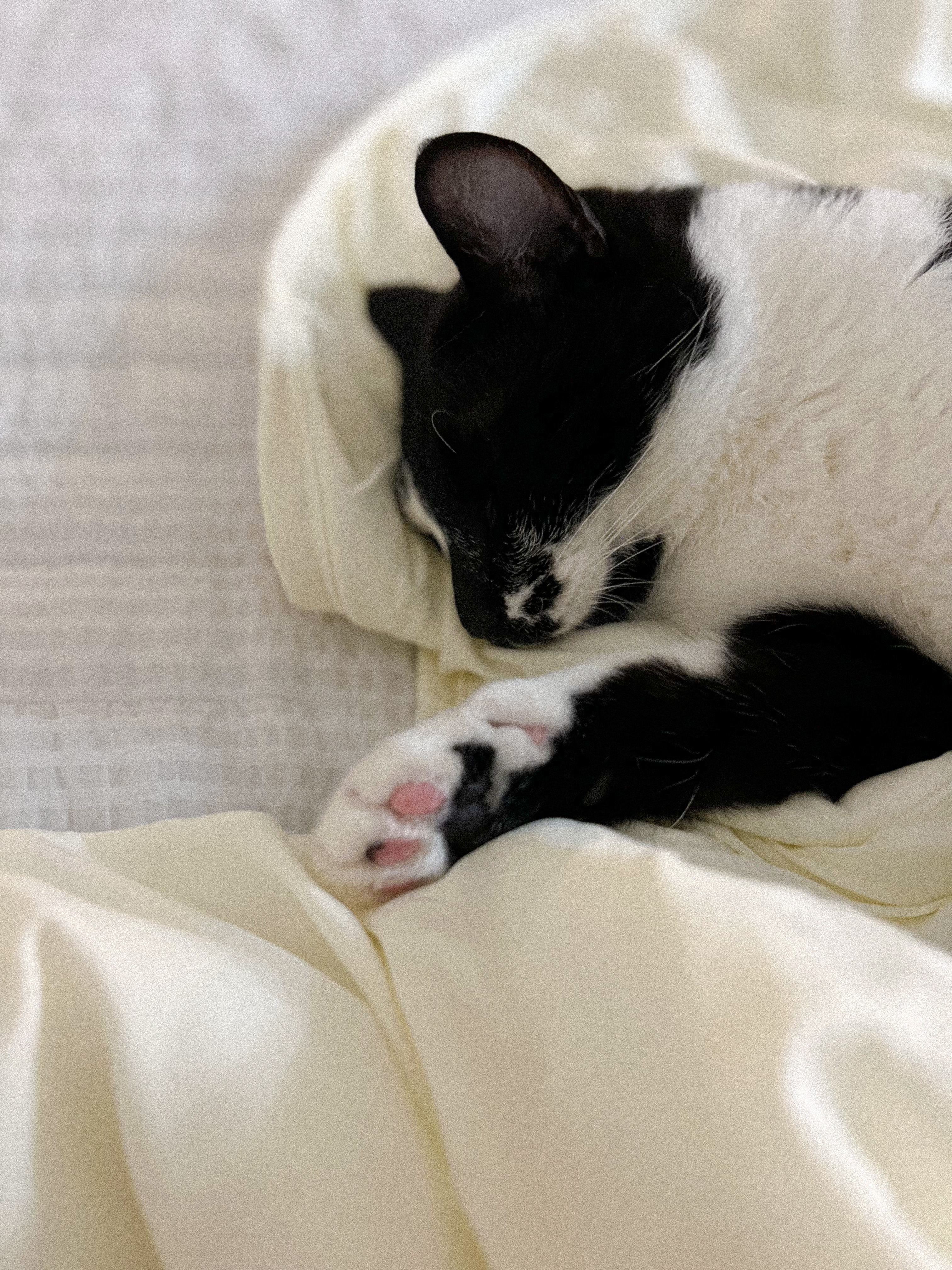 레오(라운이) 오랫만에 인사드려요!