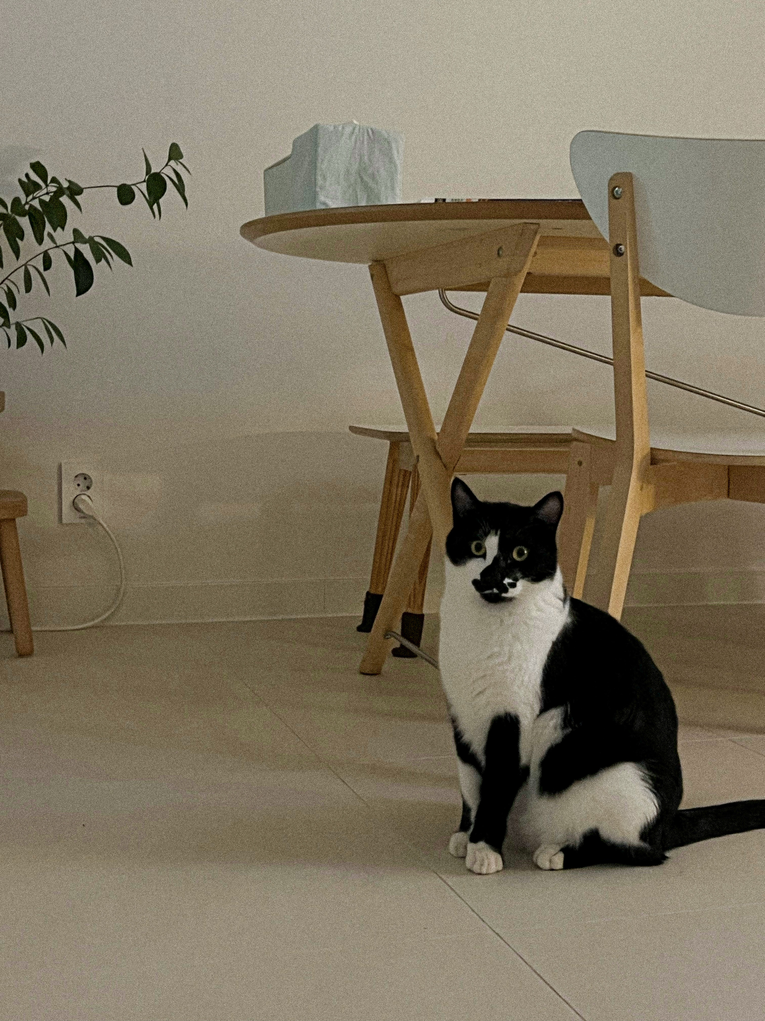 레오(라운이) 오랫만에 인사드려요!