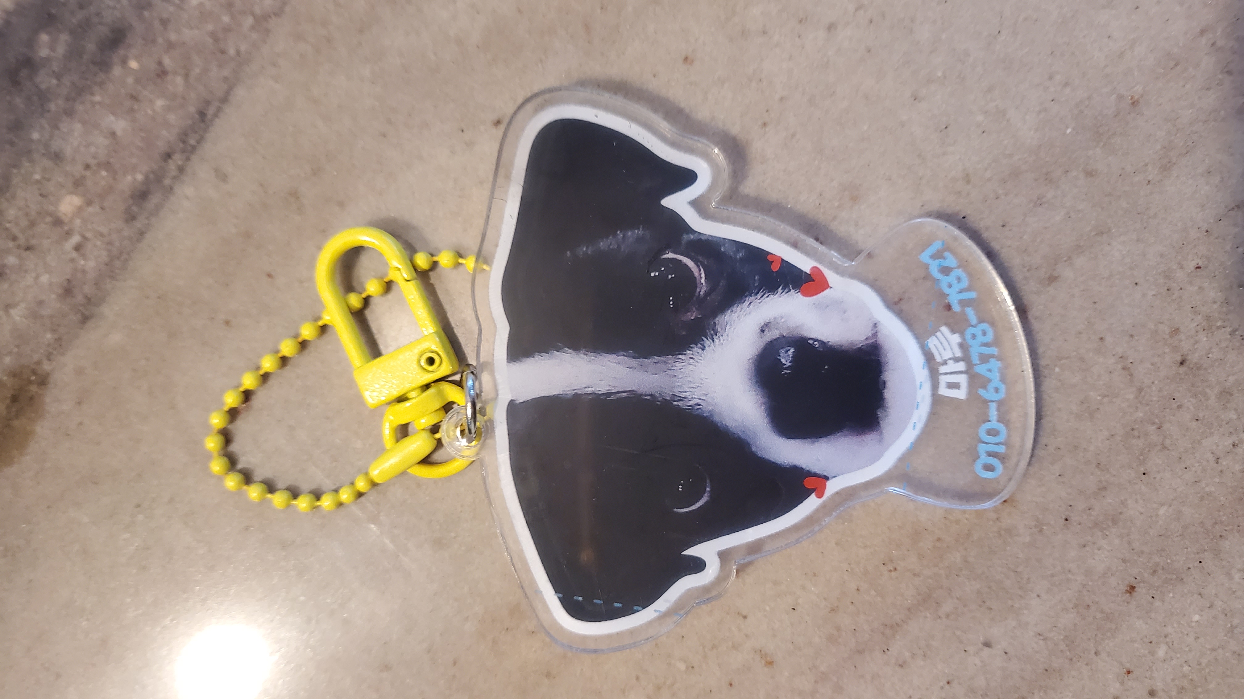 마루생일파티 여름휴가