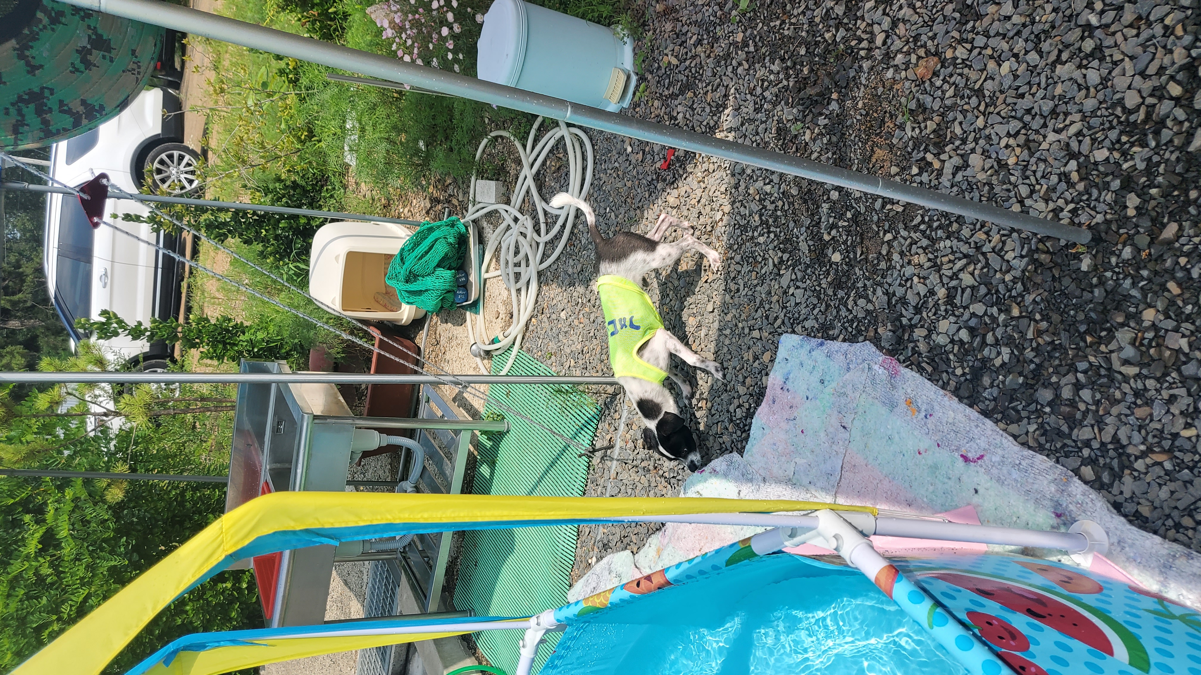 마루생일파티 여름휴가