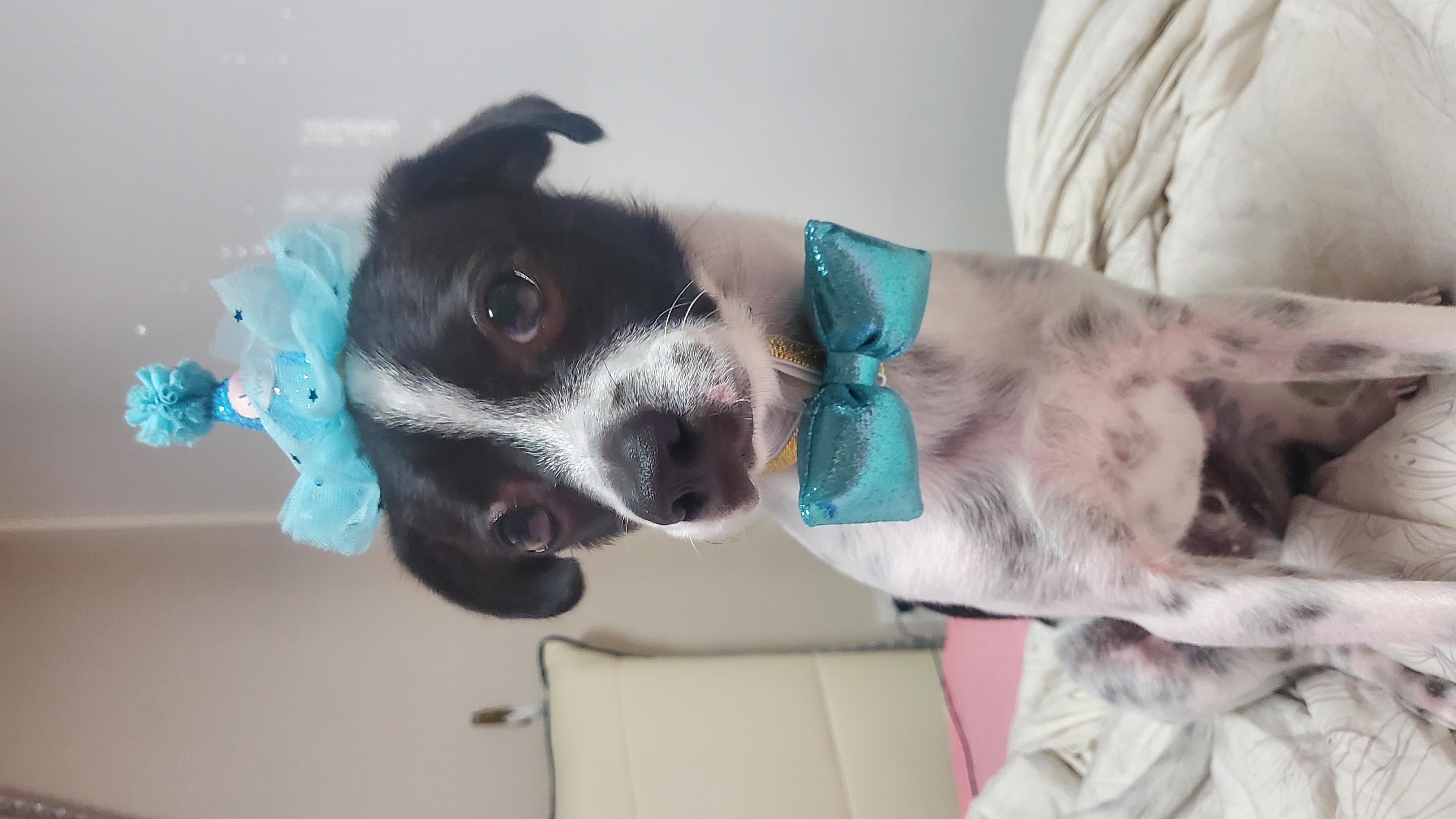 마루생일파티 여름휴가