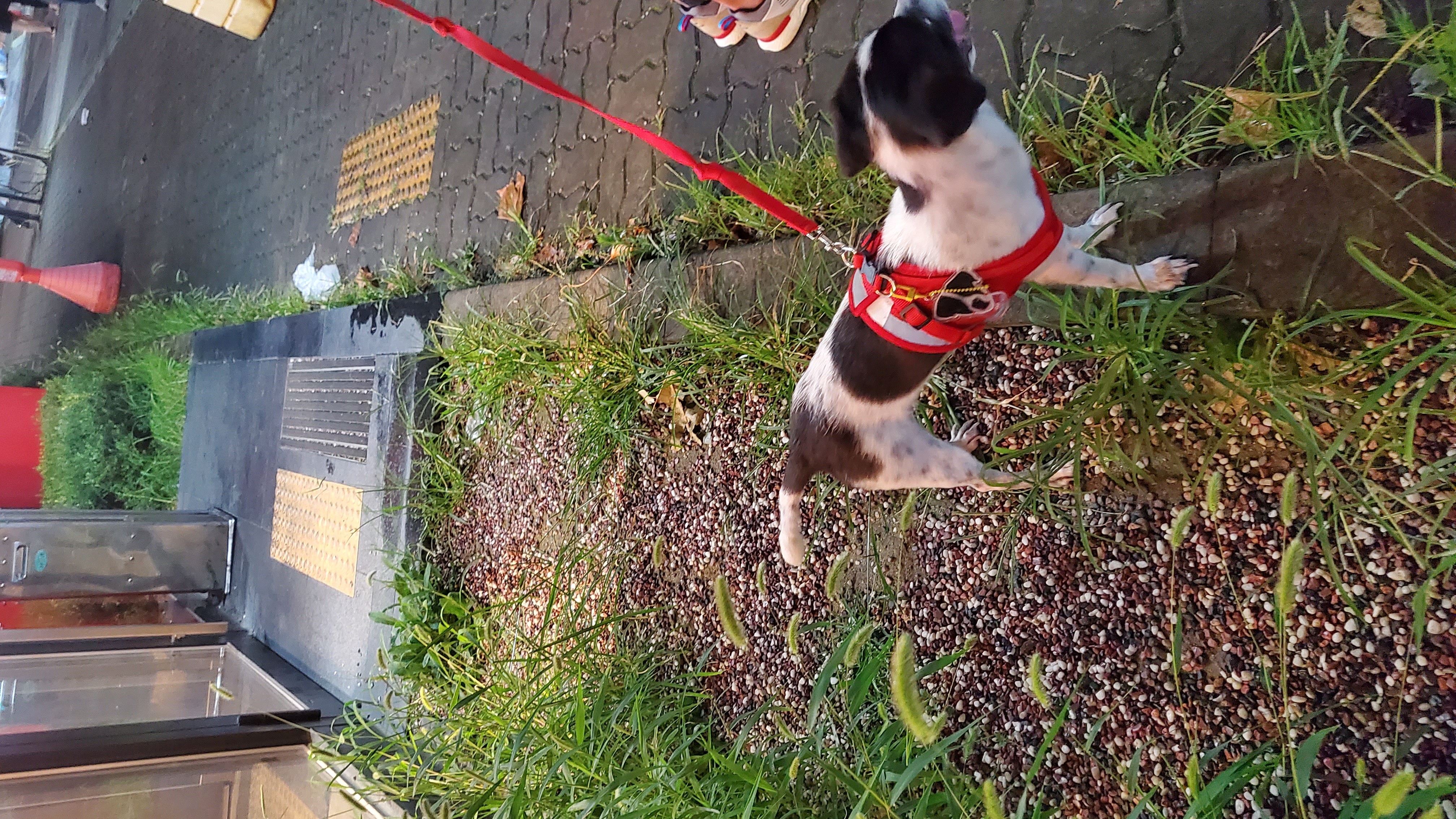 마루생일파티 여름휴가