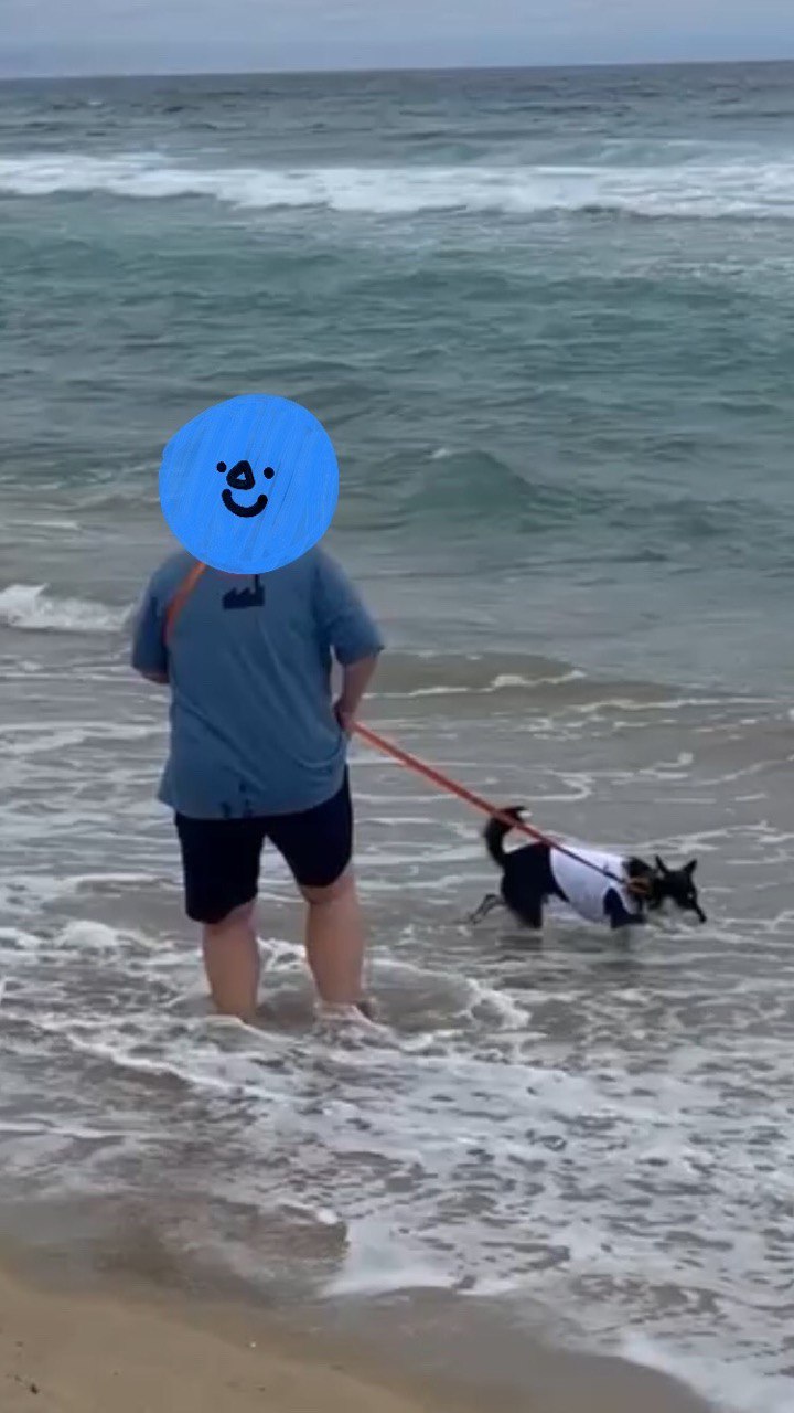 두송이와 함께 3개월!