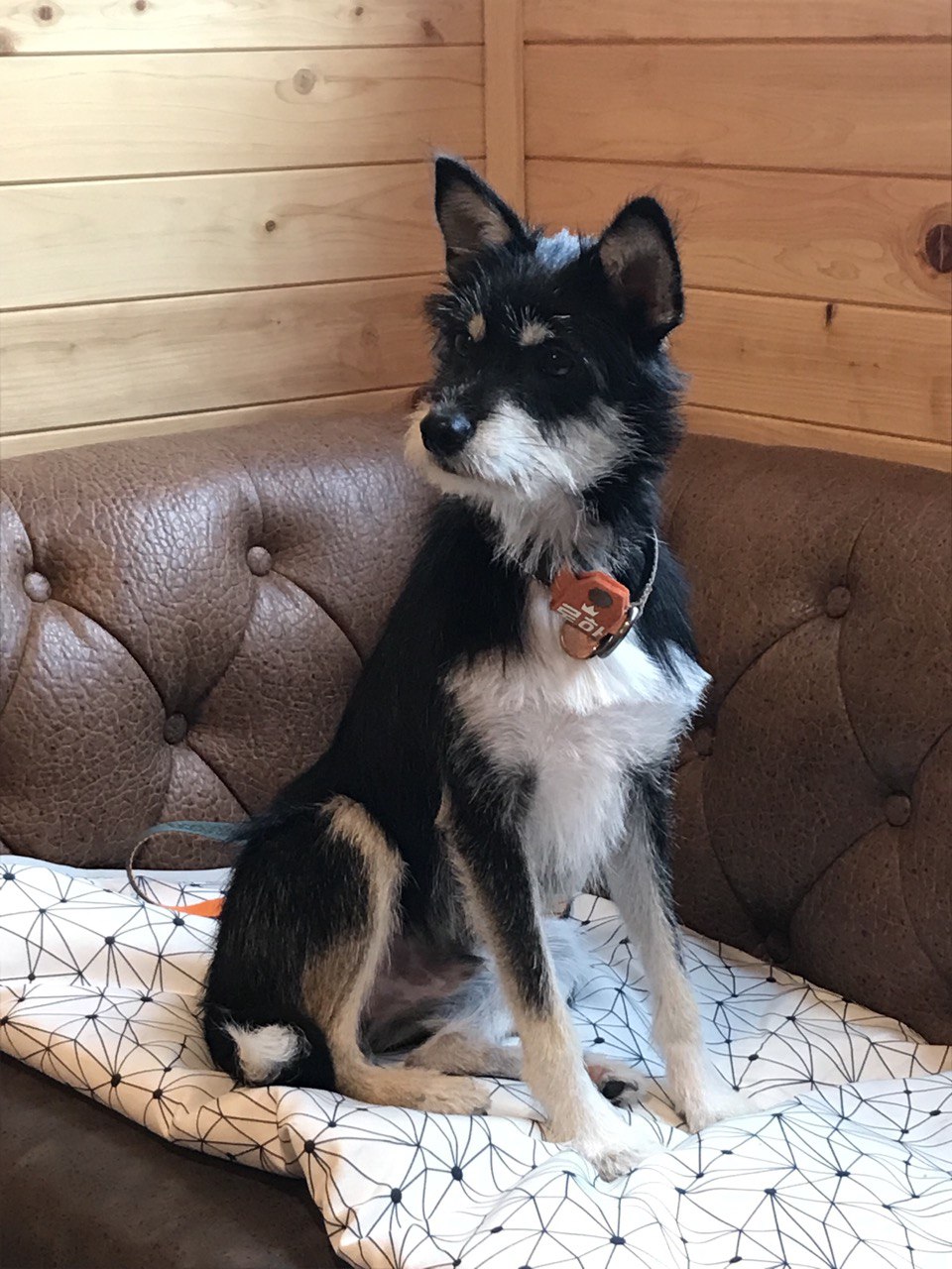 두송이와 함께 3개월!