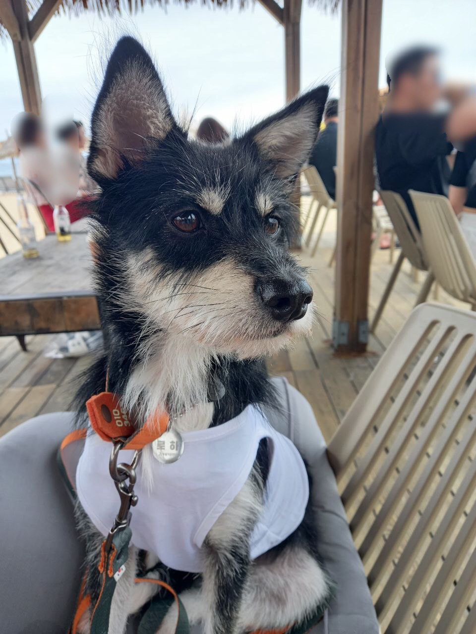 두송이와 함께 3개월!