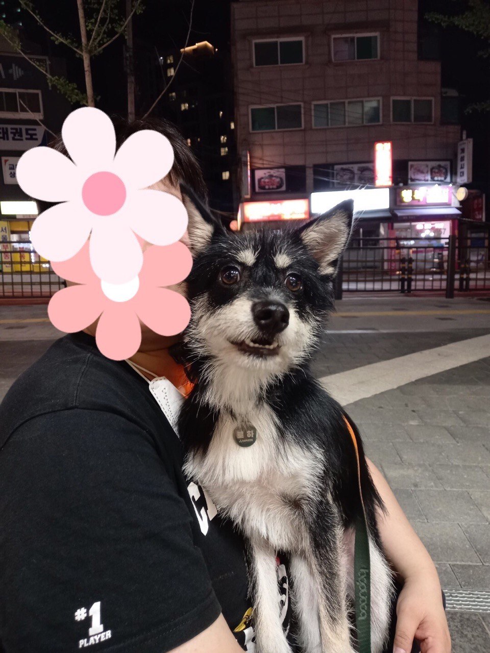 두송이와 함께 3개월!