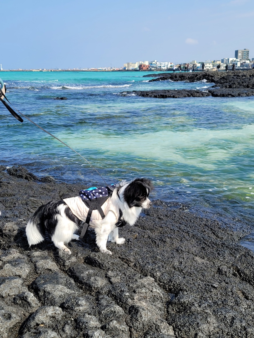 자이와 함께한 1년