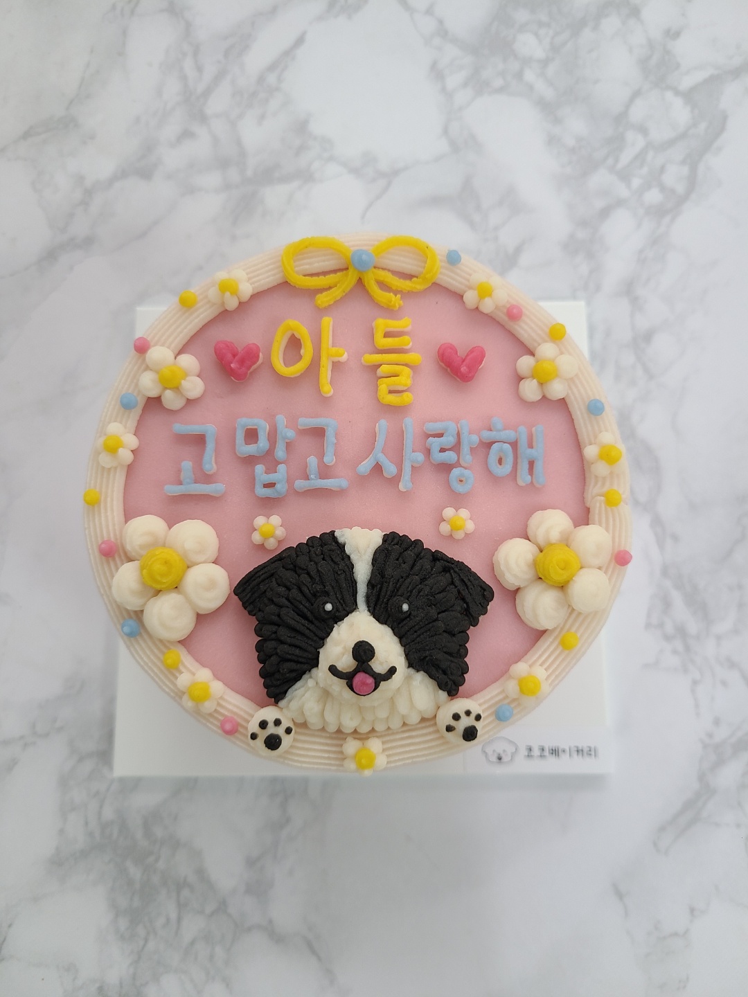 자이와 함께한 1년