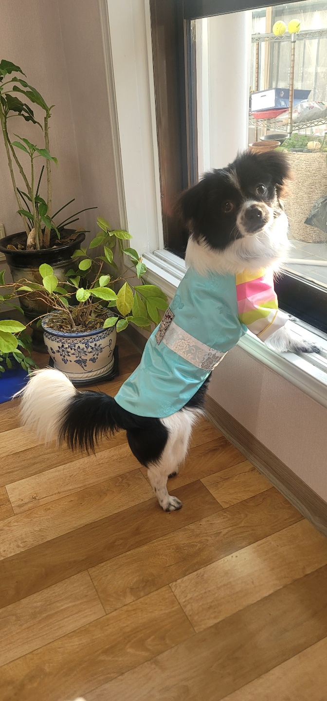 자이와 함께한 1년