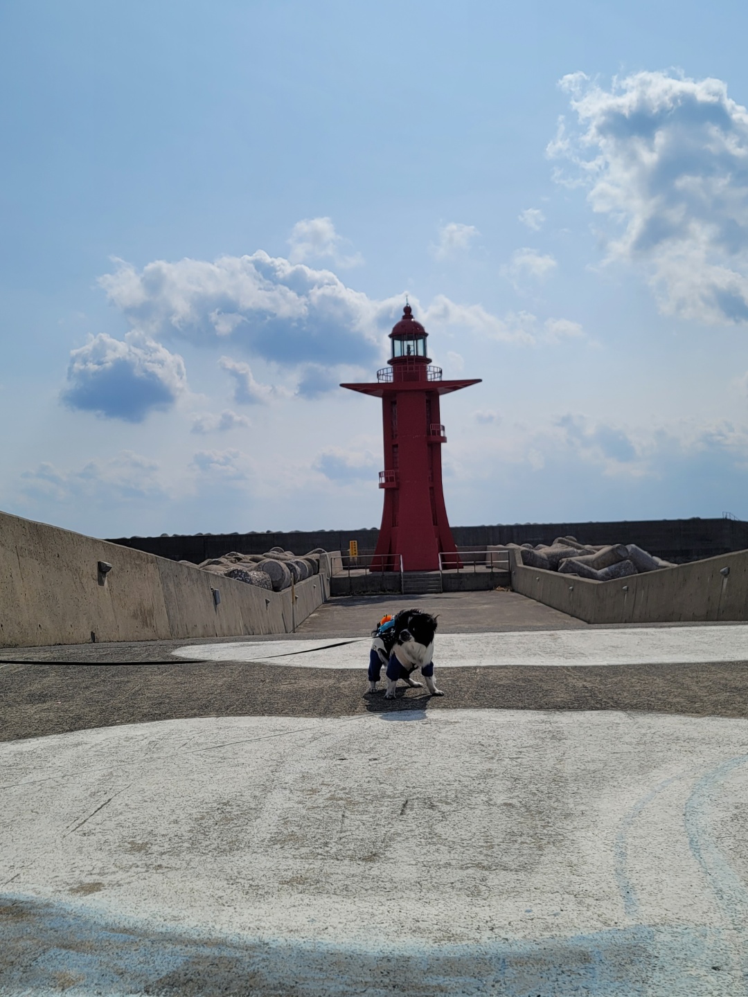 자이와 함께한 1년