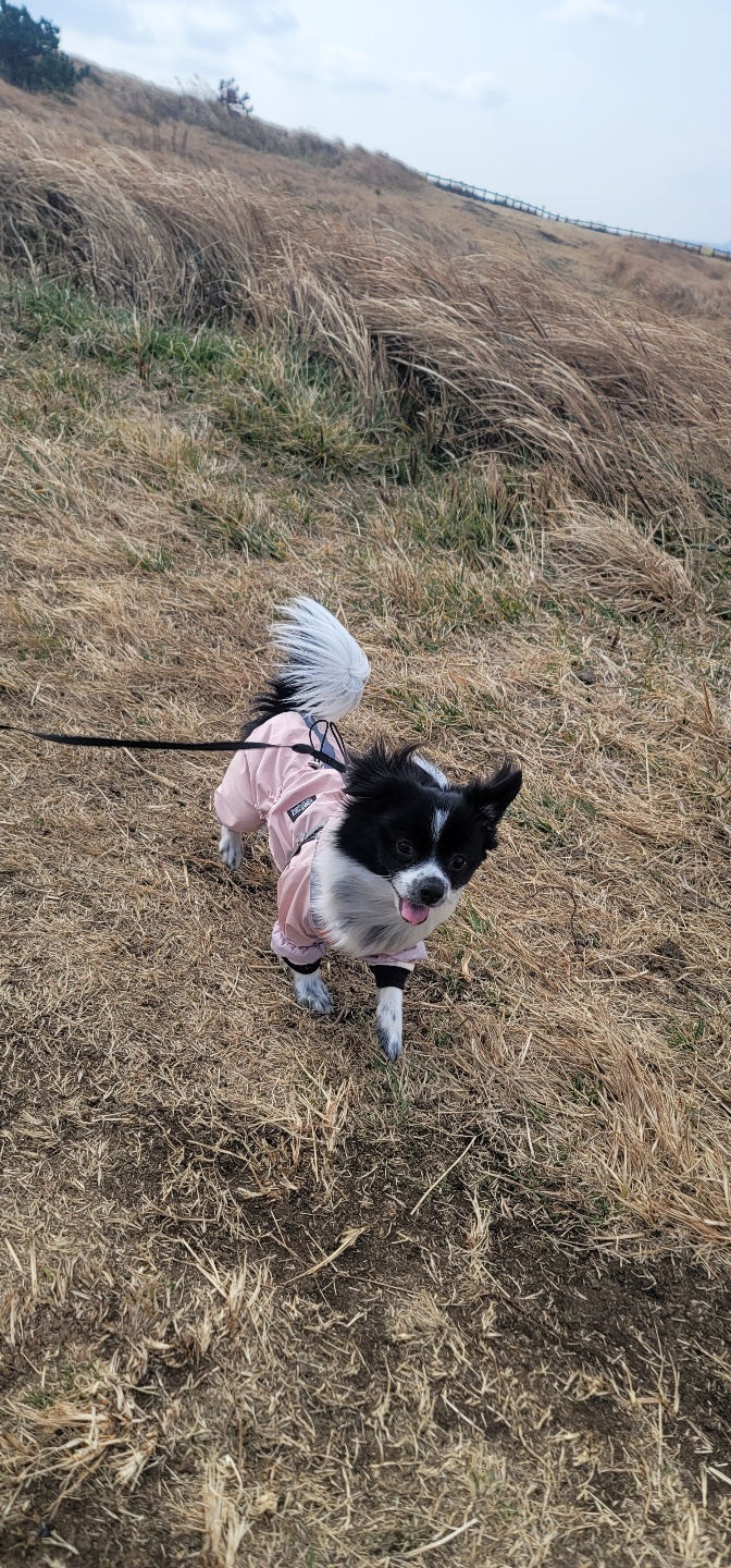 자이와 함께한 1년