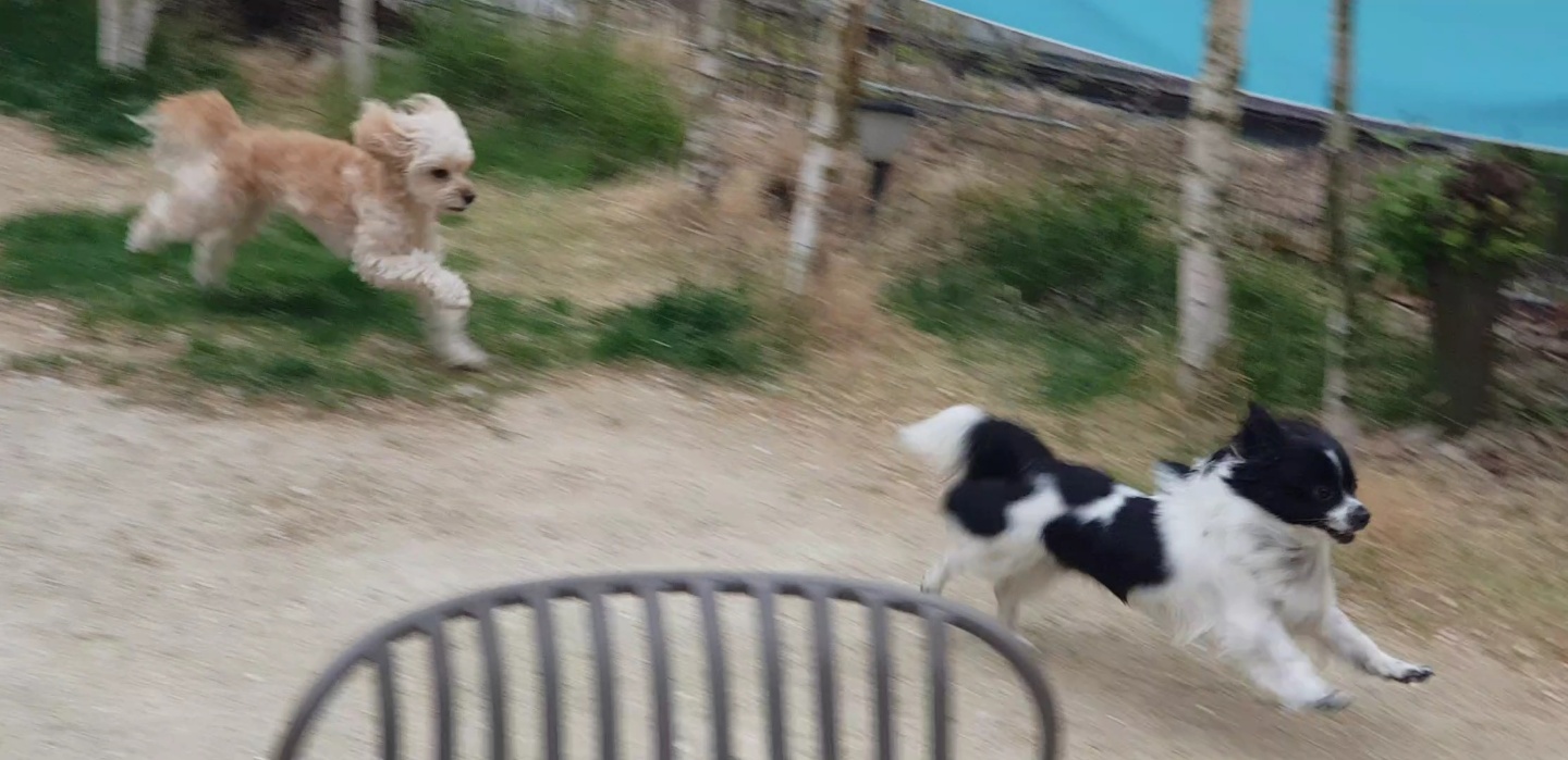 자이와 함께한 1년