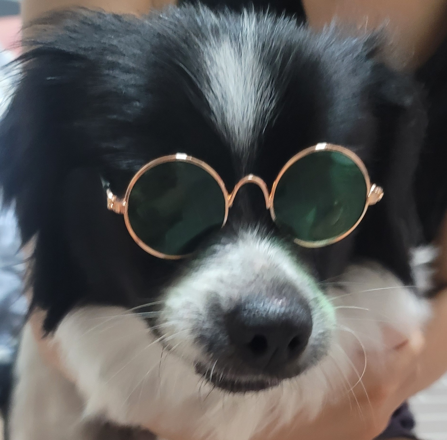 자이와 함께한 1년