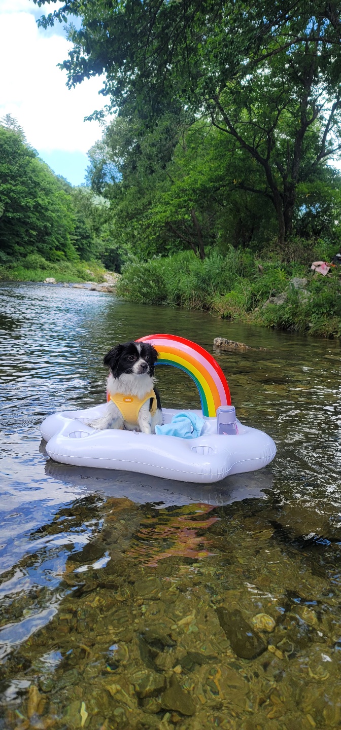 자이와 함께한 1년