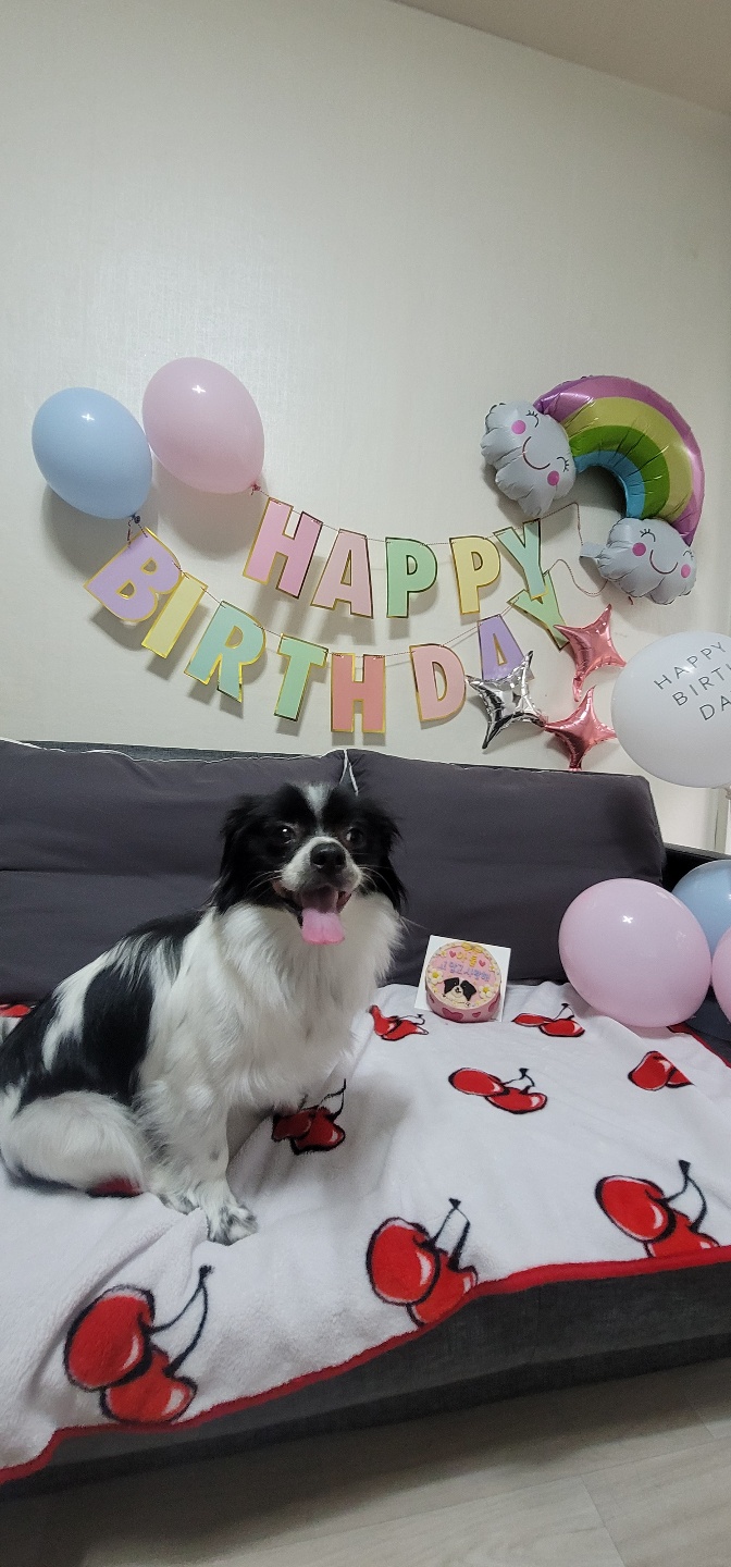 자이와 함께한 1년