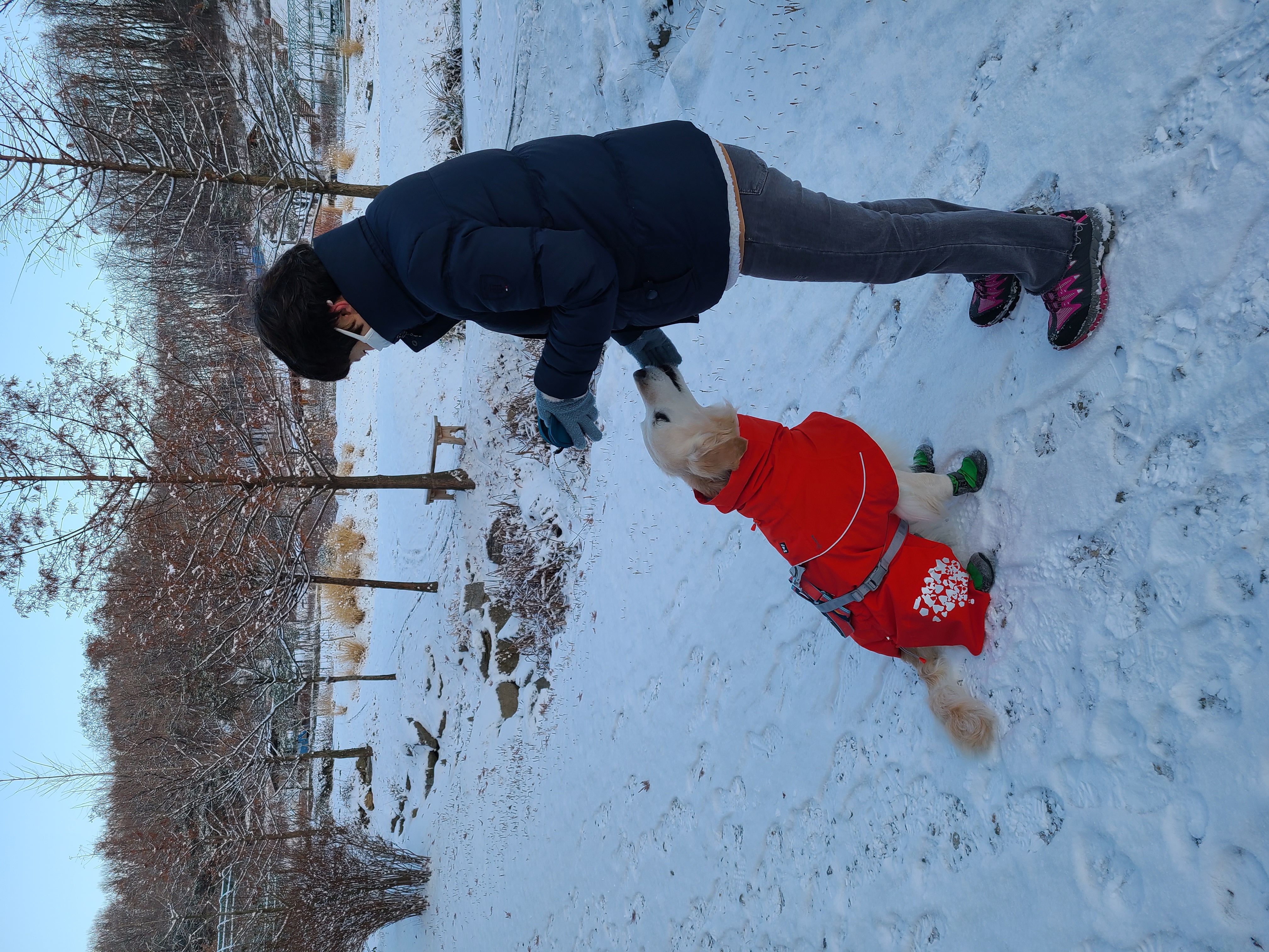 호박이(고양4번)이는 잘 있습니다.