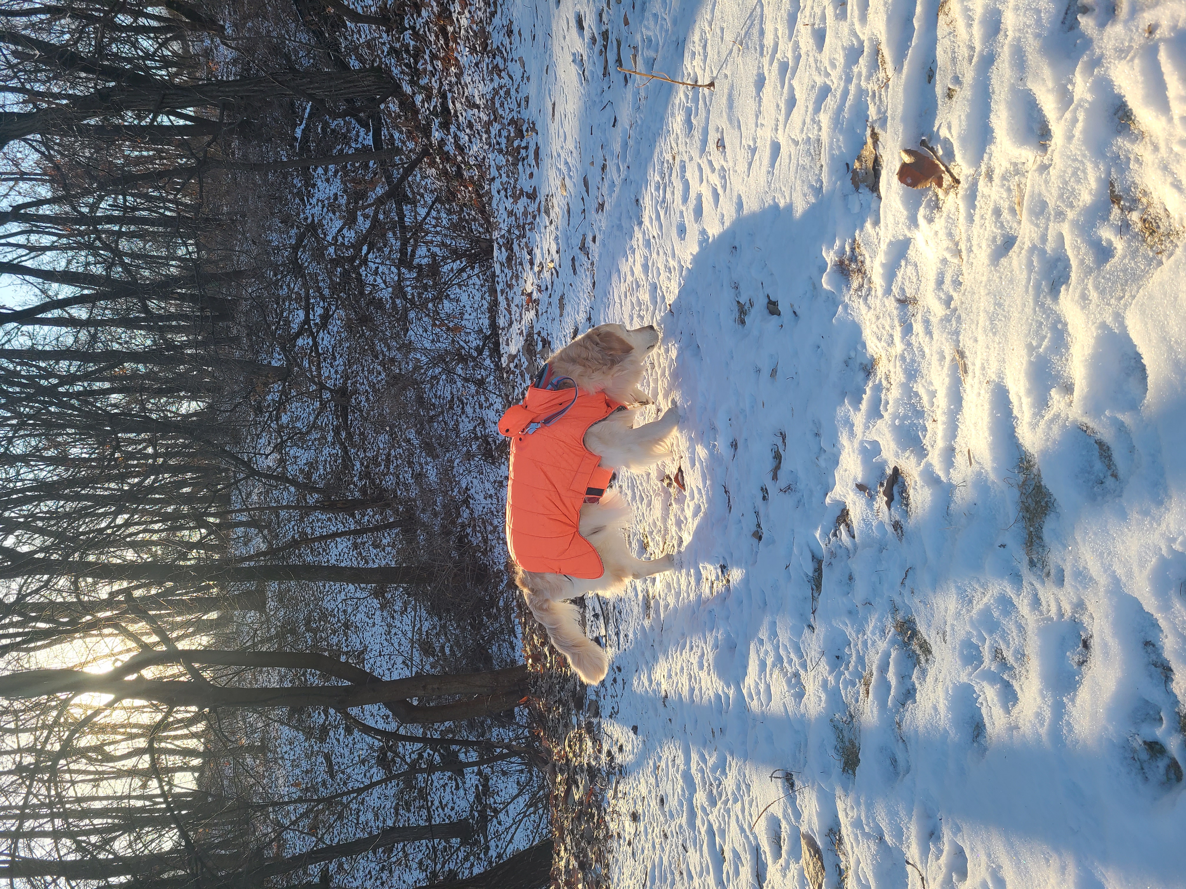 호박이(고양4번)이는 잘 있습니다.