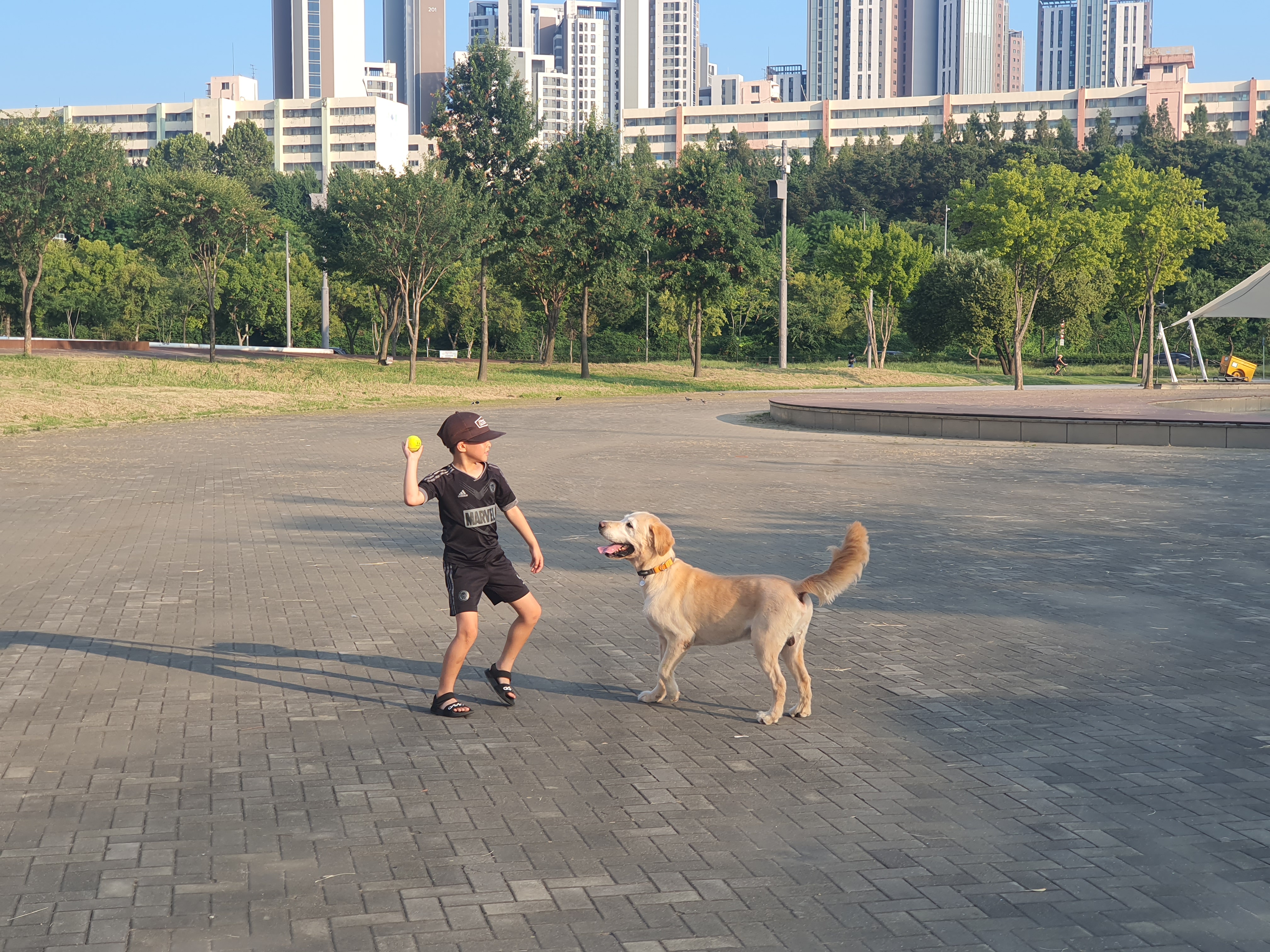 조아( 사복이) 입양  한달 일기