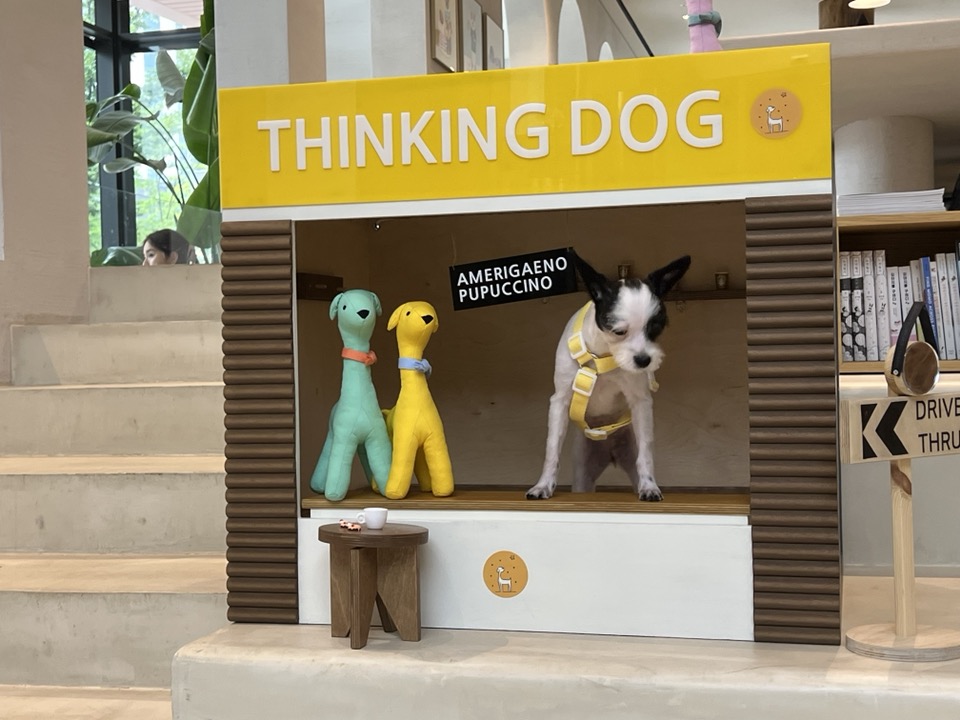 아산에서 구조된 리코(포포)입니다~!