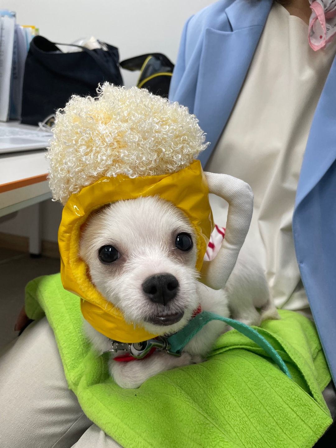 사랑스런 버터(쿠나) 임보후기