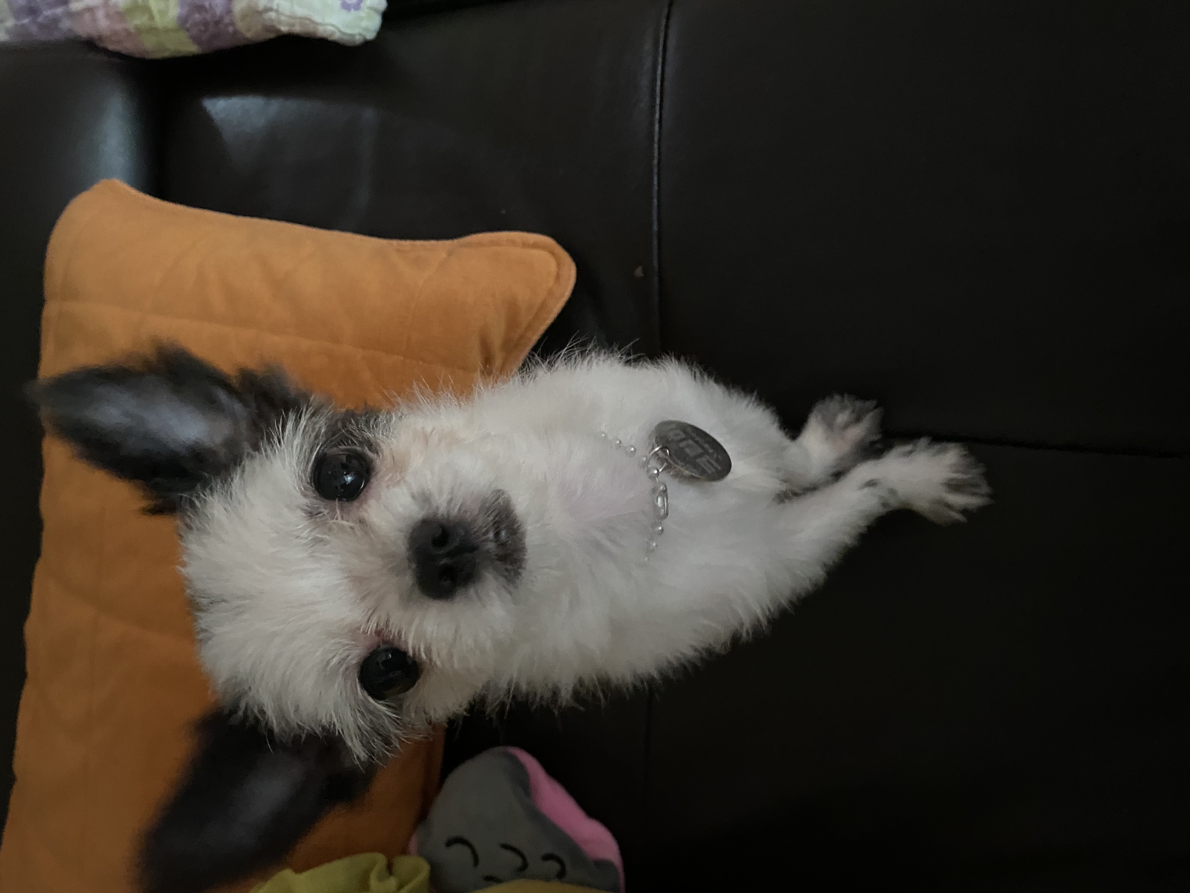 아산구조 덕호입니다.