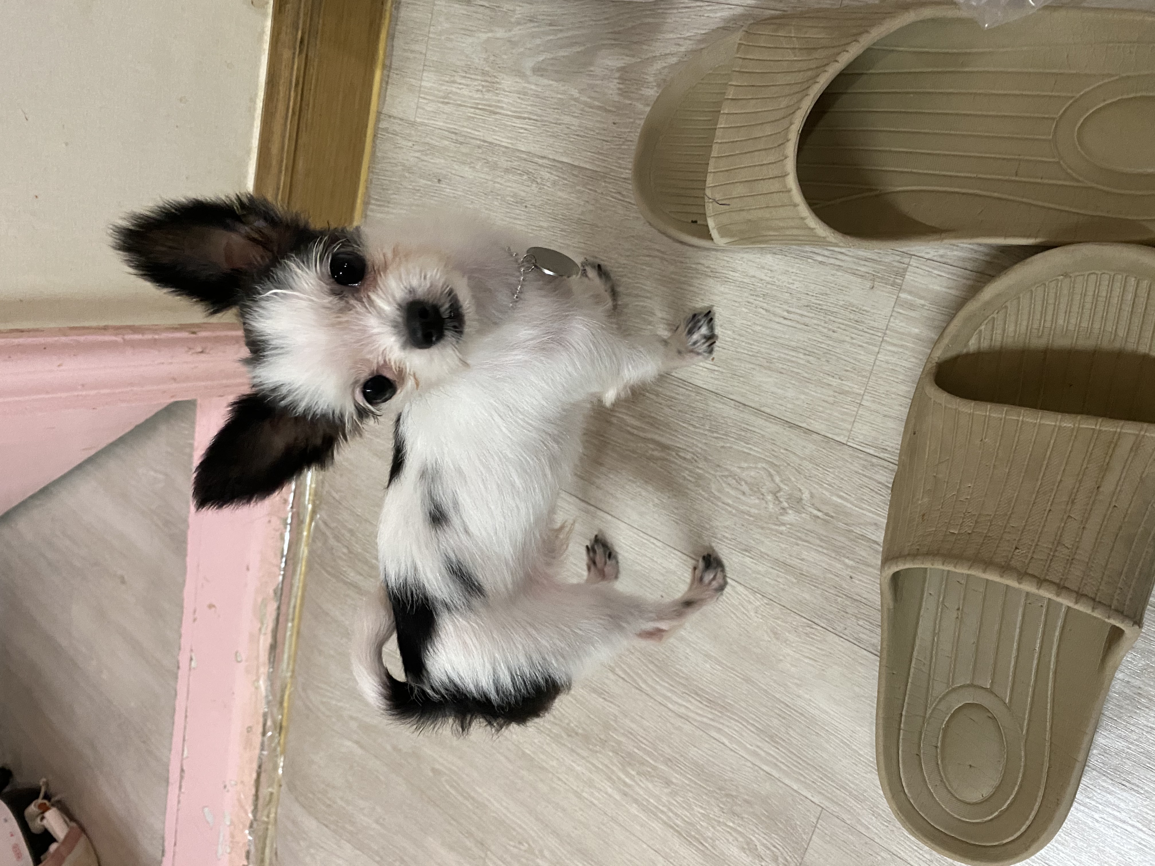 아산구조 덕호입니다.