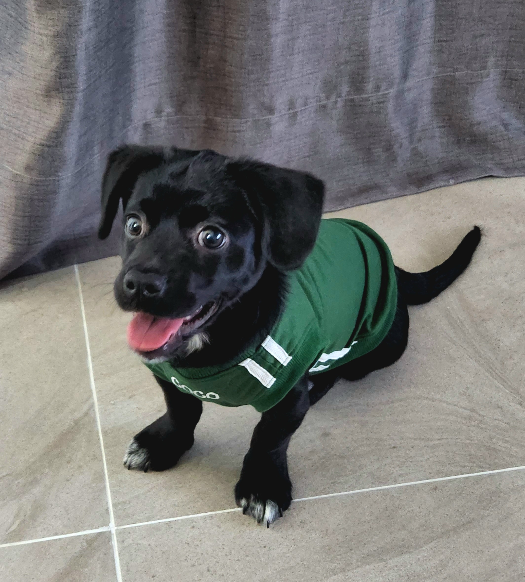 까미(반양이)네 입니다