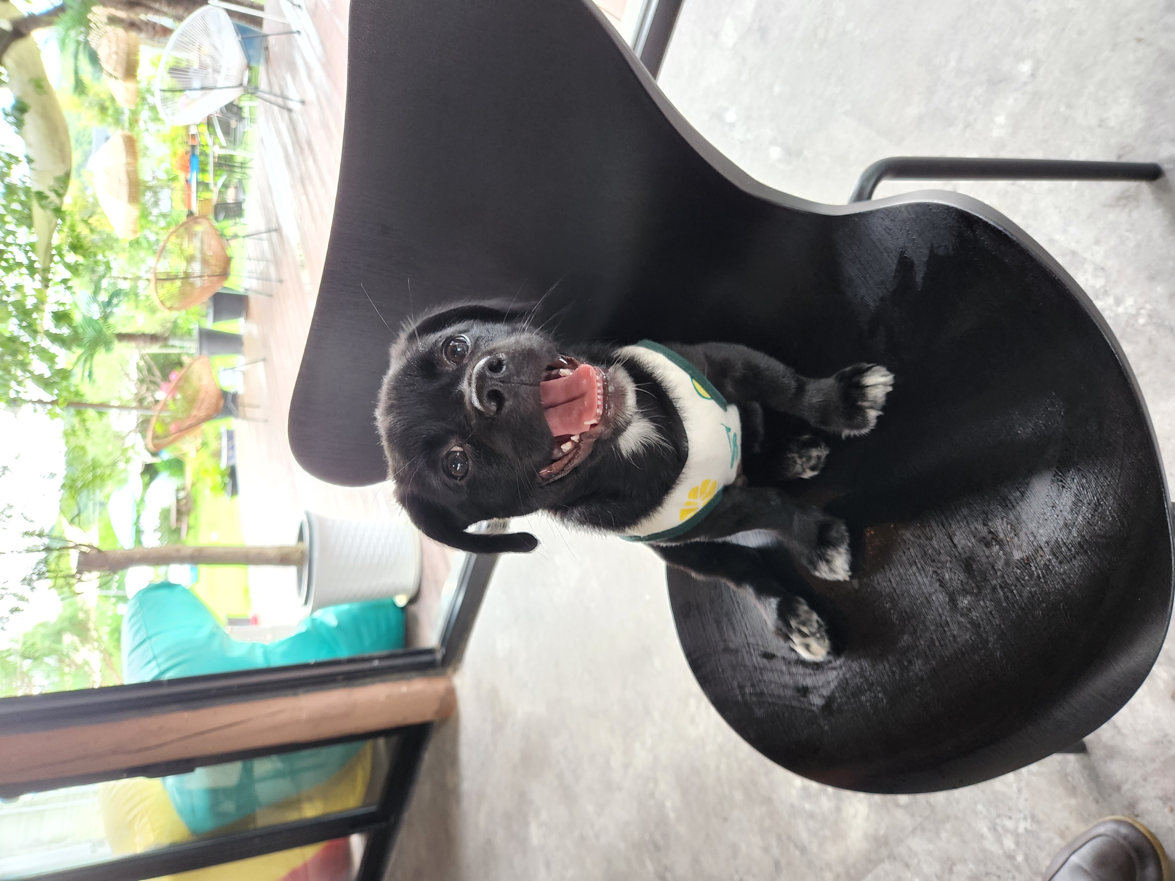 까미(반양이)네 입니다