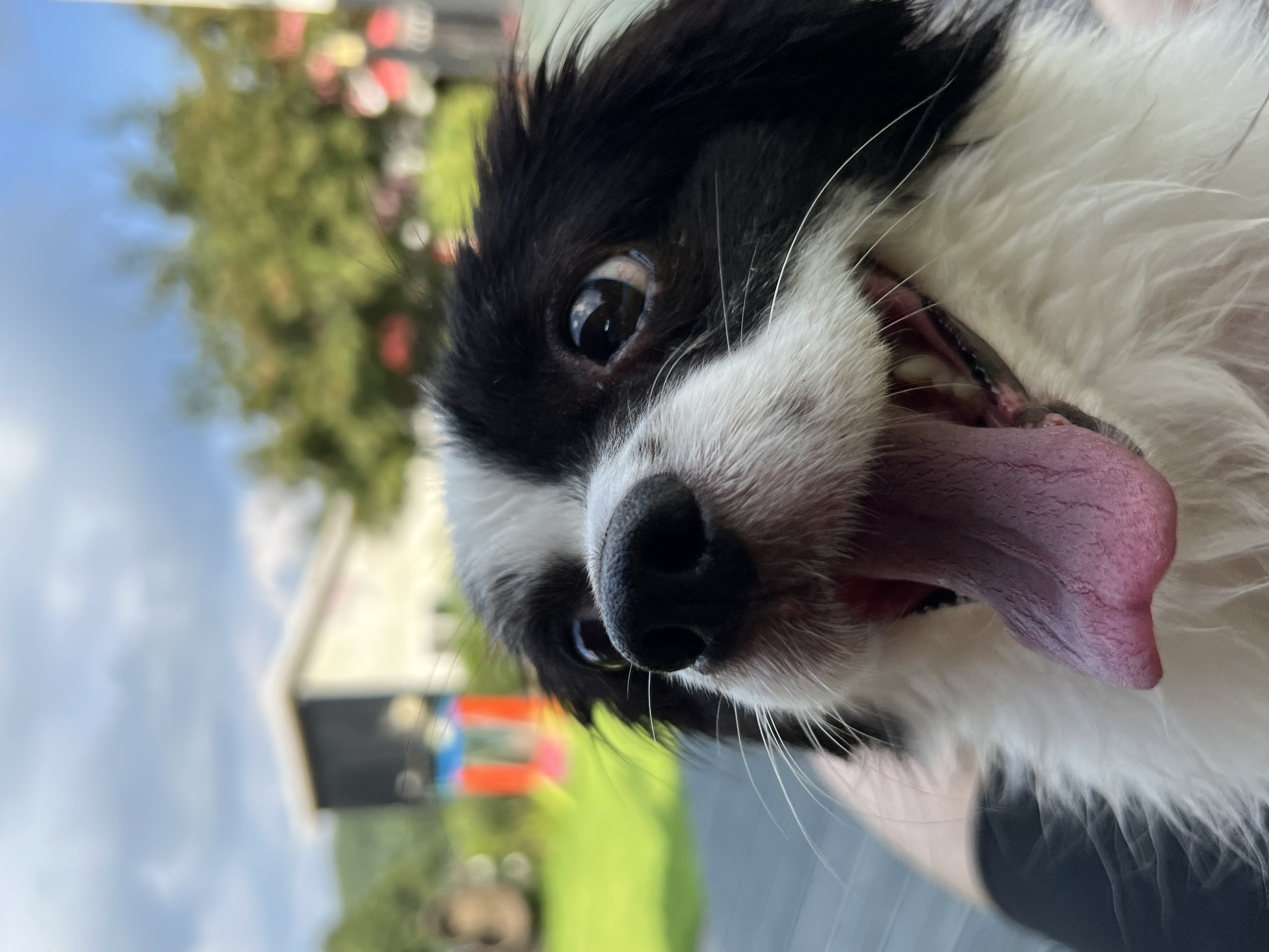 시유(모네) 첫 물놀이입니다