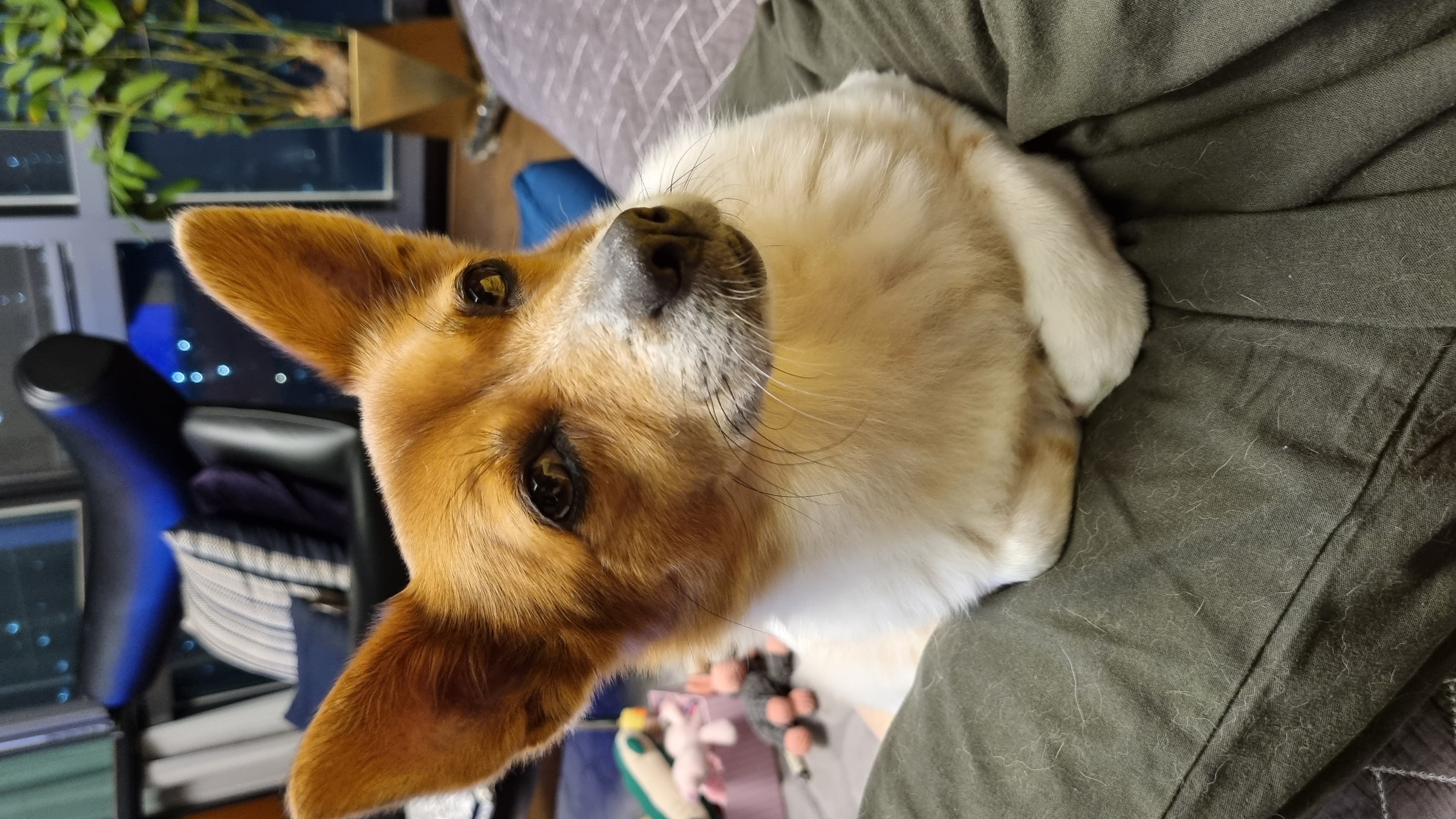 하이가 온지 만 5년 입니다^^