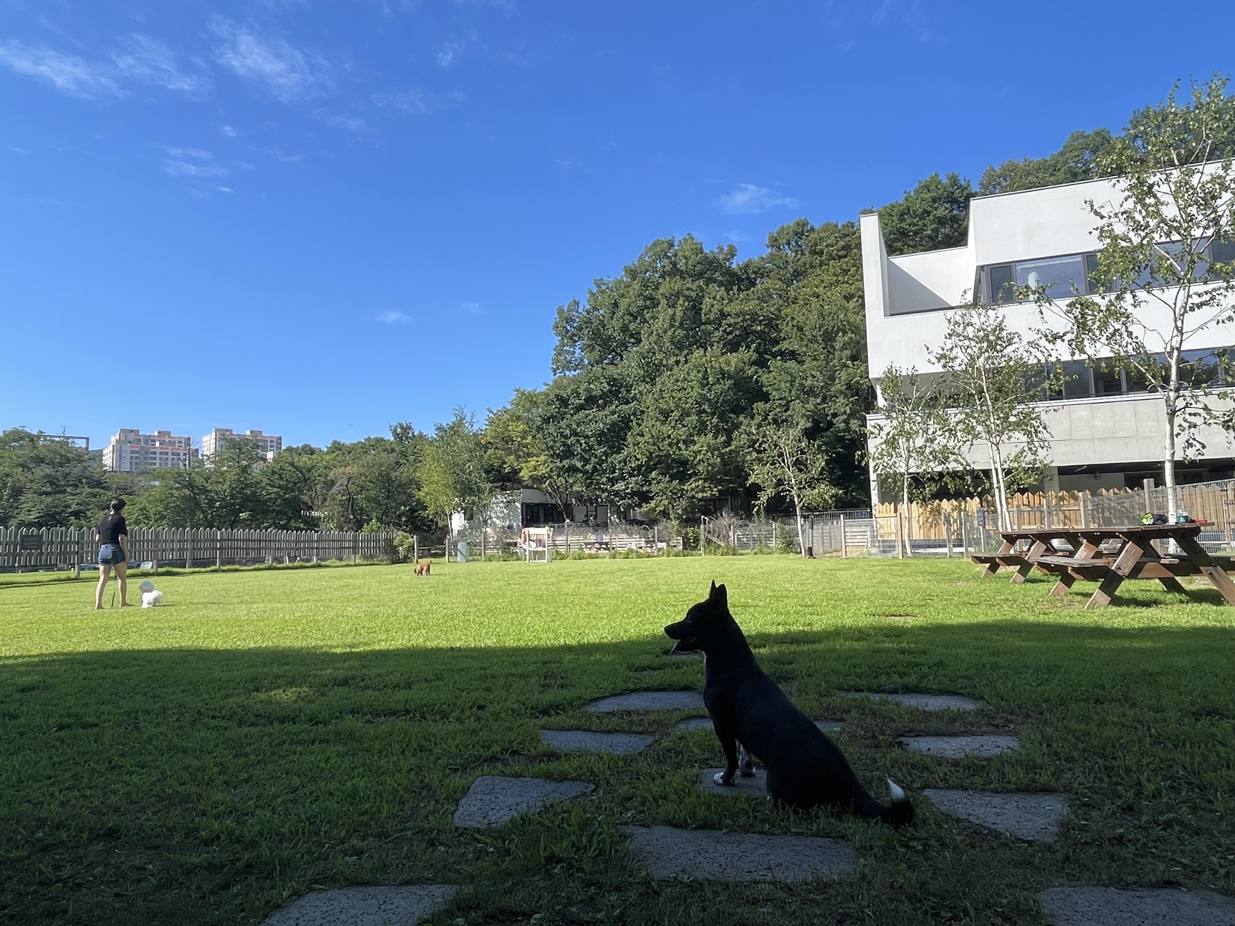 그린이(현 짱어) 3개월차 입양 후기 입니다~