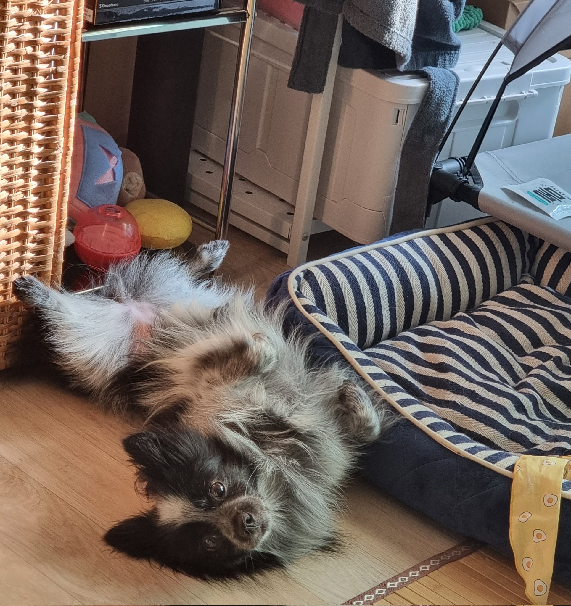 크루 3개월 차, 이제 정식 가족이 되었어요^^