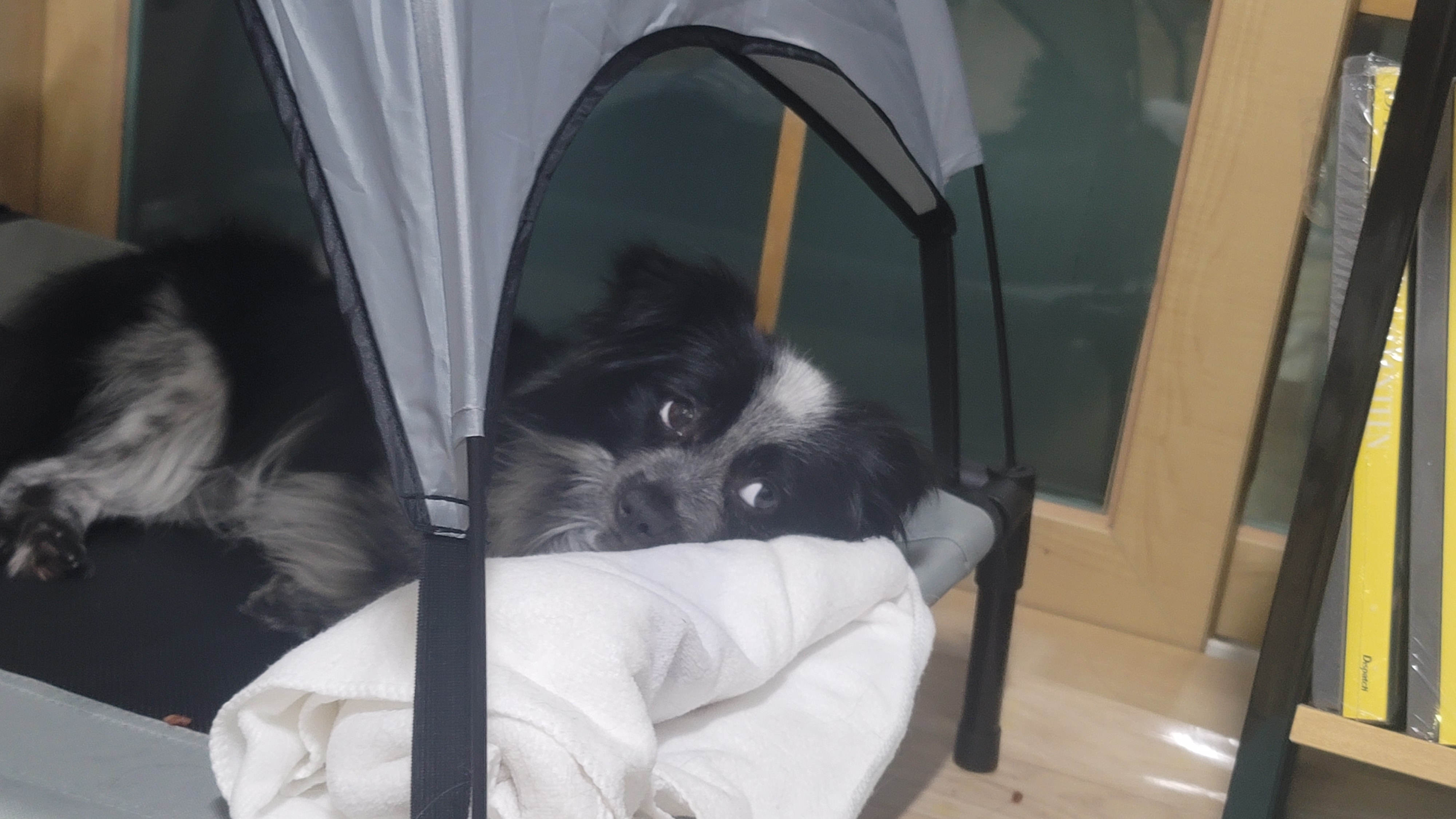 크루 3개월 차, 이제 정식 가족이 되었어요^^