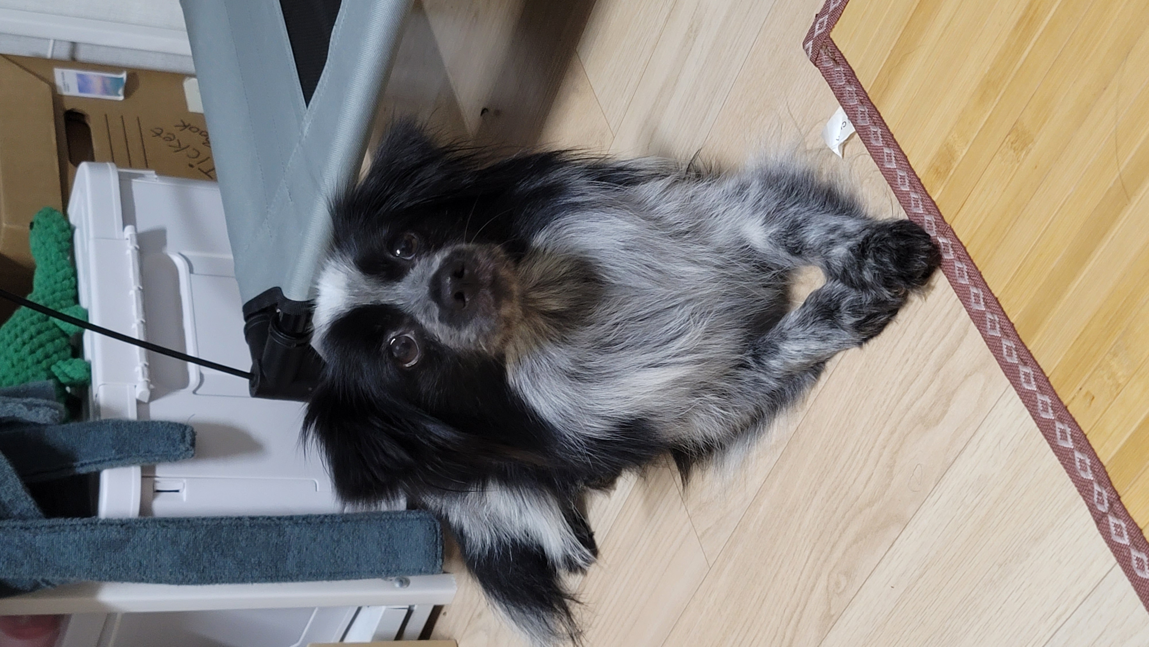 크루 3개월 차, 이제 정식 가족이 되었어요^^