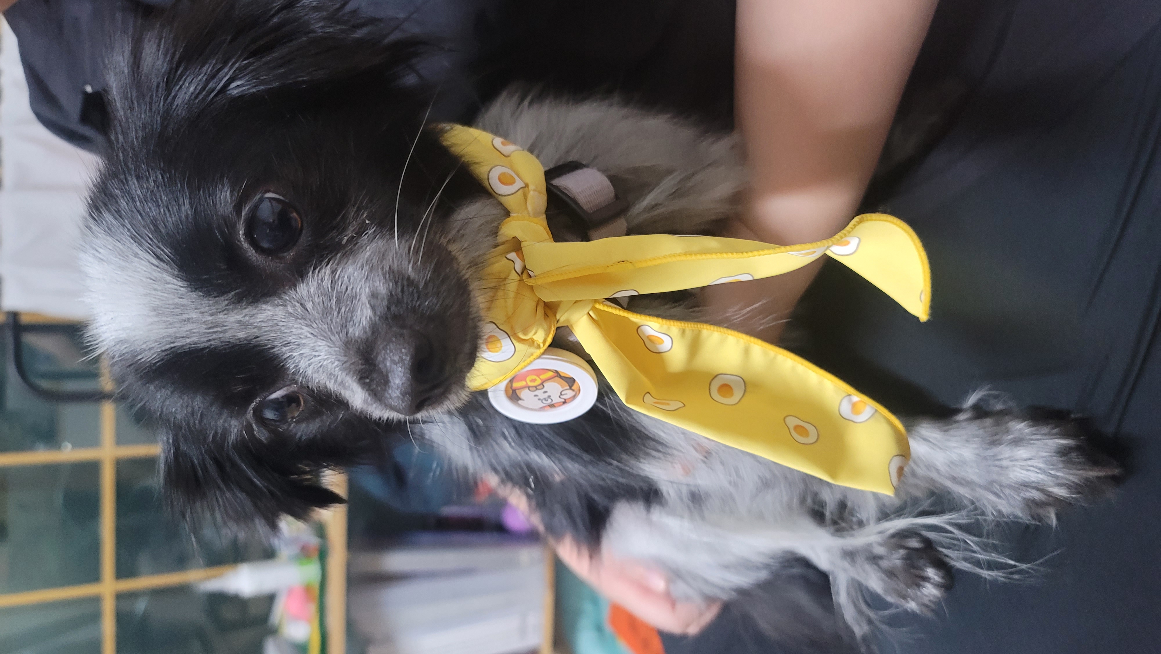 크루 3개월 차, 이제 정식 가족이 되었어요^^